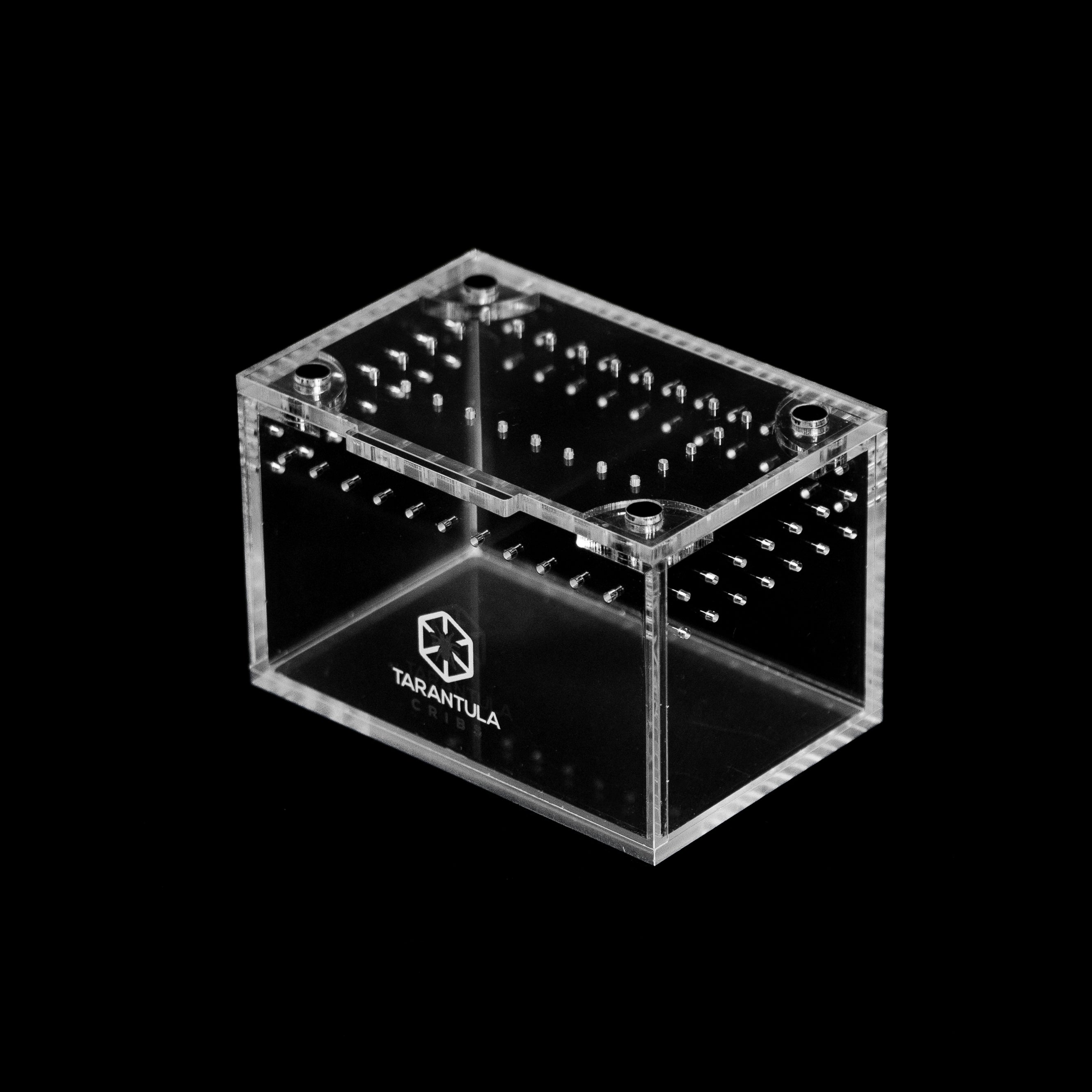 Spiderling Enclosures