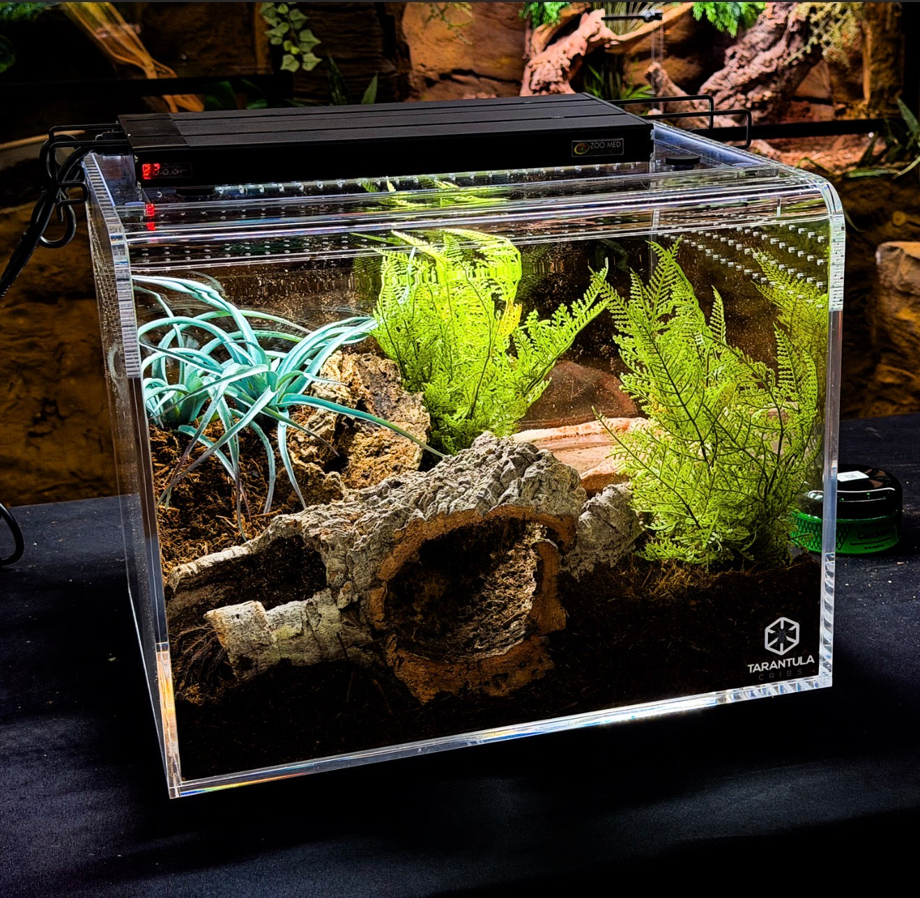 Terra Curve- Large- 18"x14"x14"