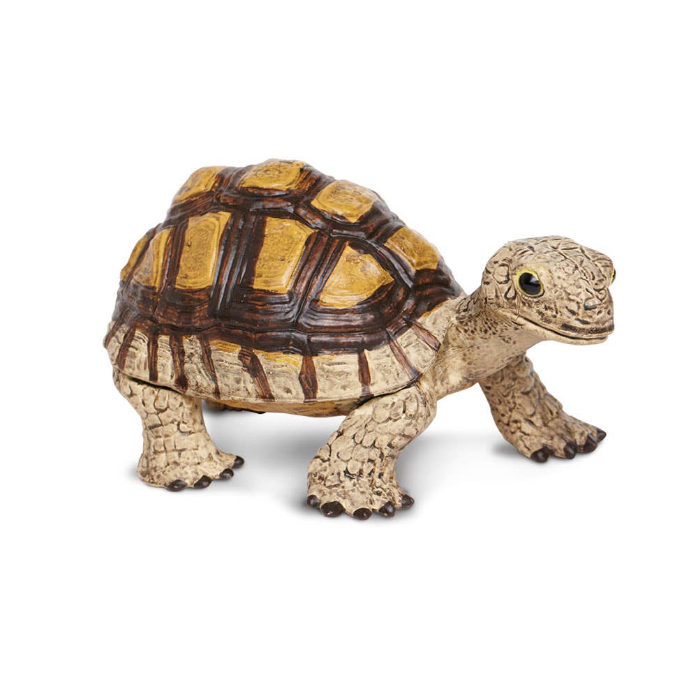 Safari Ltd. - Tortoise - 258629
