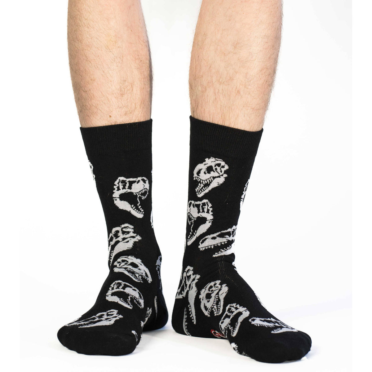 Good Luck Sock - Men's Dinosaur Skulls Socks