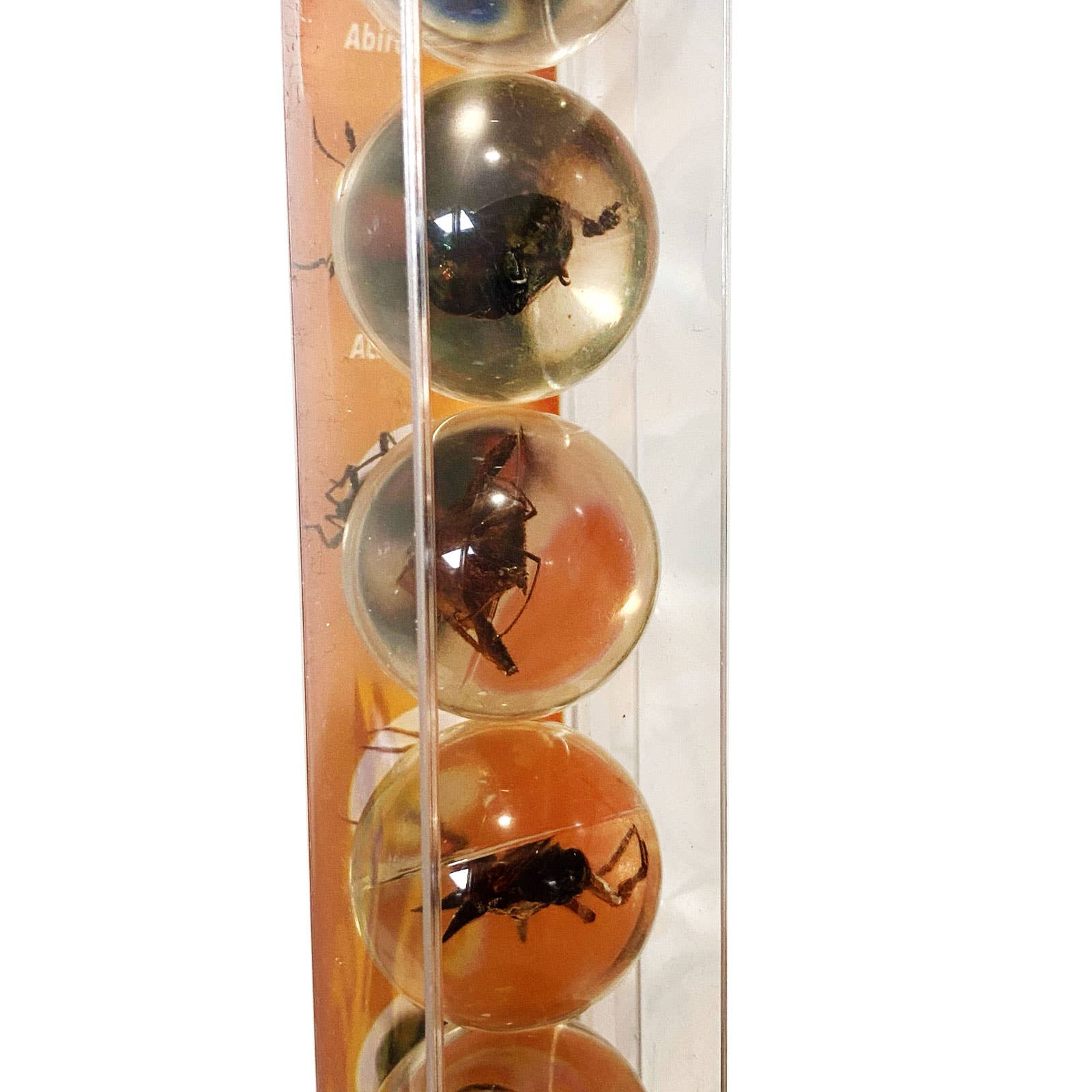 Safari Ltd. - GEOWorld Bug Marbles