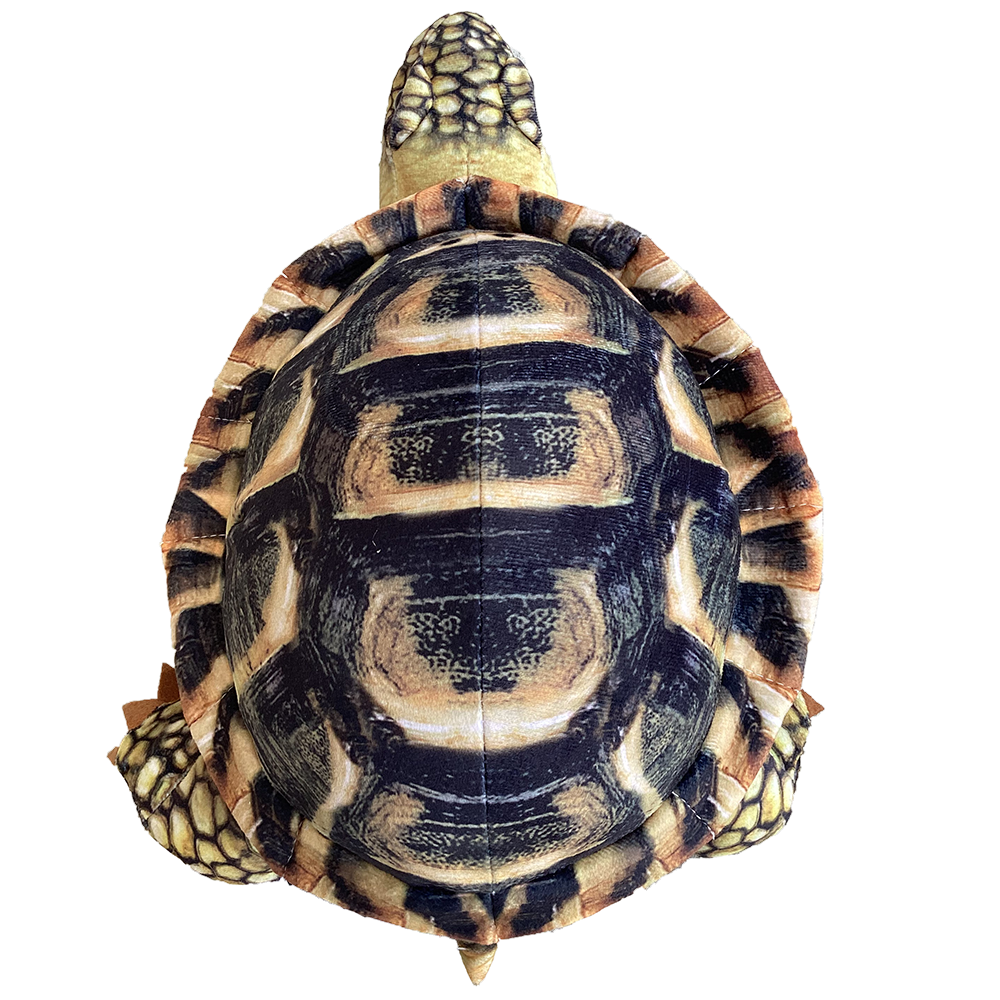 Texas Toy Distribution - Spurred Tortoise Plush 13" Stuffed Animal