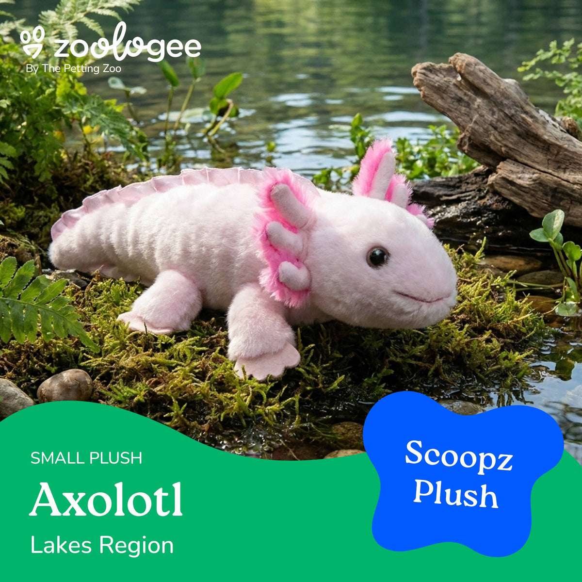 The Petting Zoo - Scoopz Axolotl Small 8" (24cm)