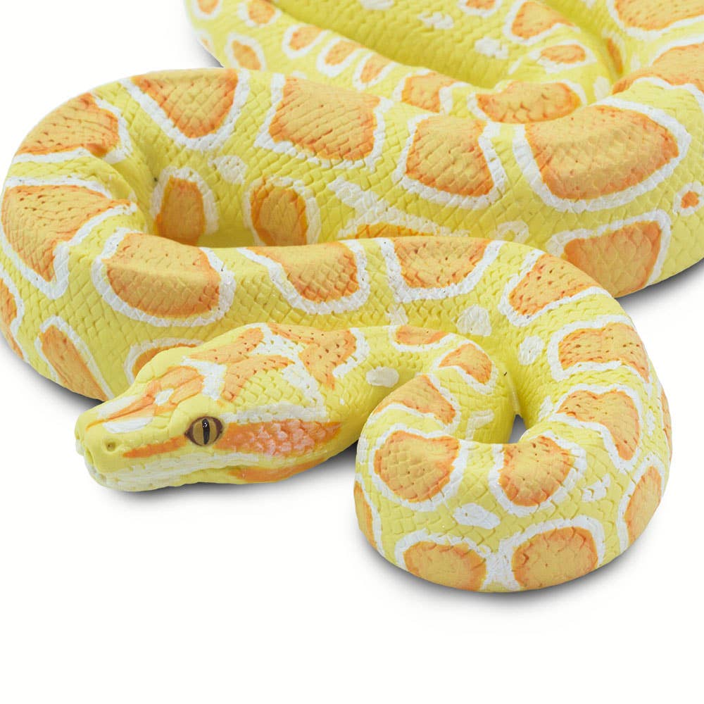 Safari Ltd. - Albino Burmese Python - 100250