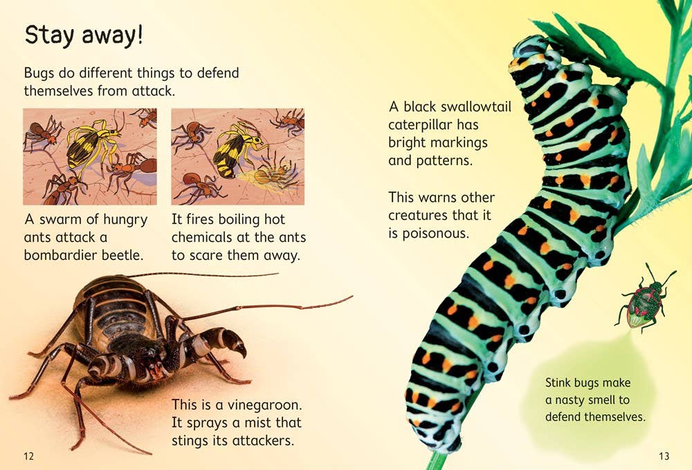 HarperCollins - Bugs : Usborne Beginners