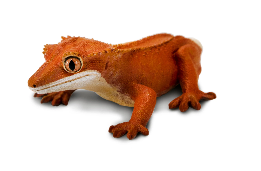 Safari Ltd. - Crested Gecko - 100344