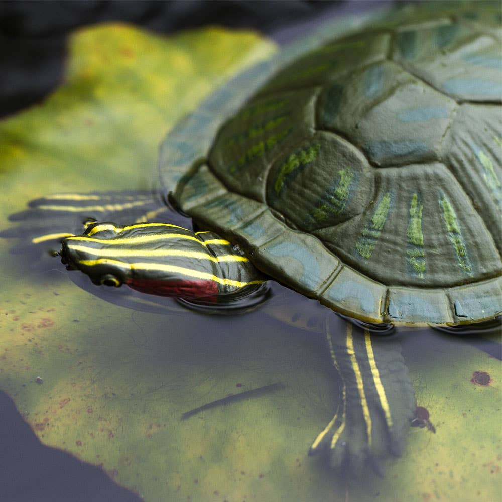 Safari Ltd. - Red - Eared Slider Turtle - 269529