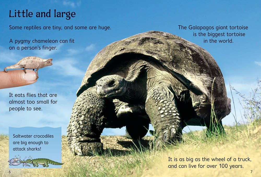 HarperCollins - Reptiles : Usborne Beginners