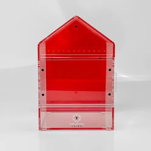 Canopy with Sliding Lid (6"x6"x9")