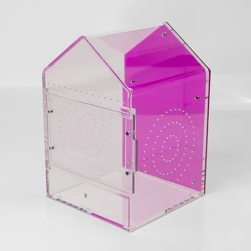 Canopy with Sliding Lid (6"x6"x9")