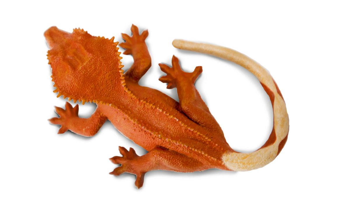 Safari Ltd. - Crested Gecko - 100344