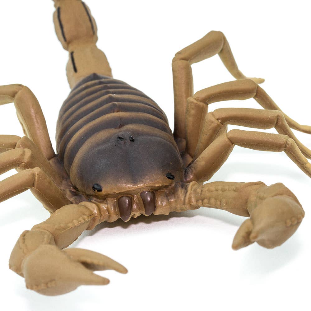 Scorpion Figurine Toy for Kids