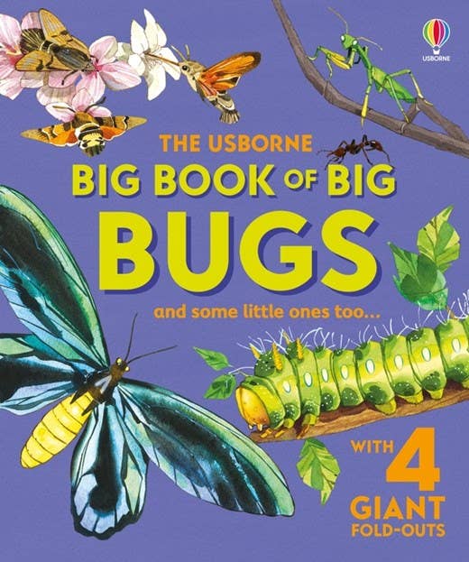 HarperCollins - Big Book of Big Bugs : Usborne