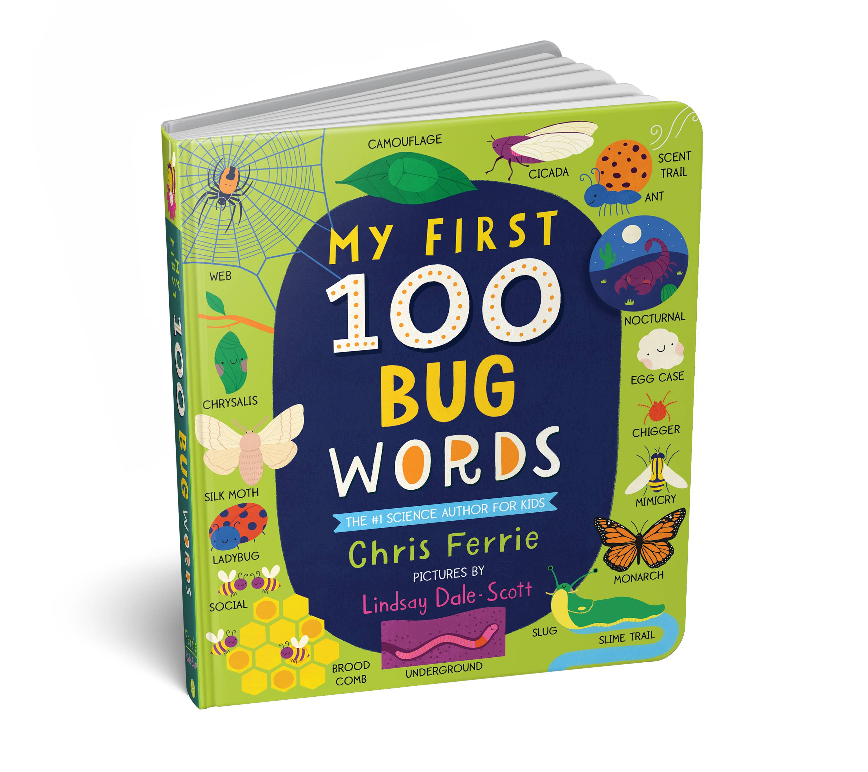 Sourcebooks - My First 100 Bug Words (BB-Padded)