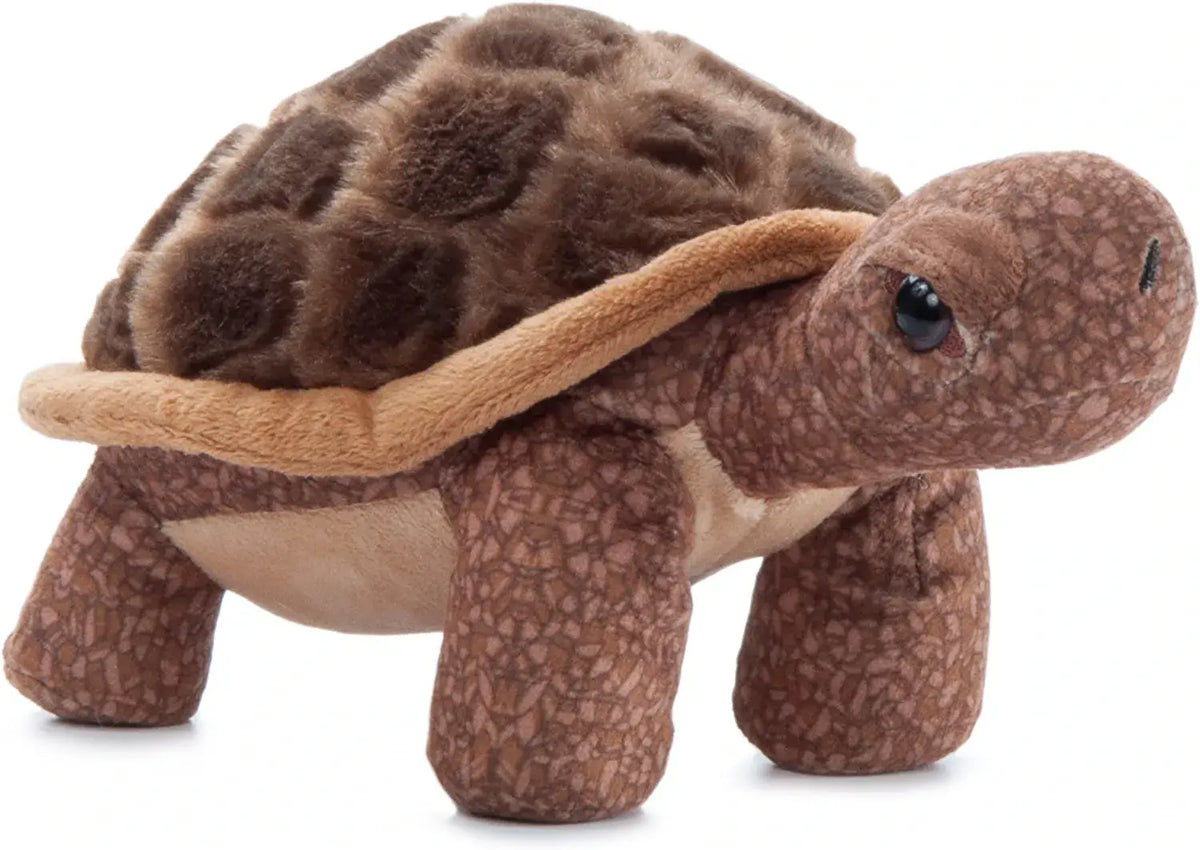 The Petting Zoo - 9" (23cm) Wild Onez Tortoise