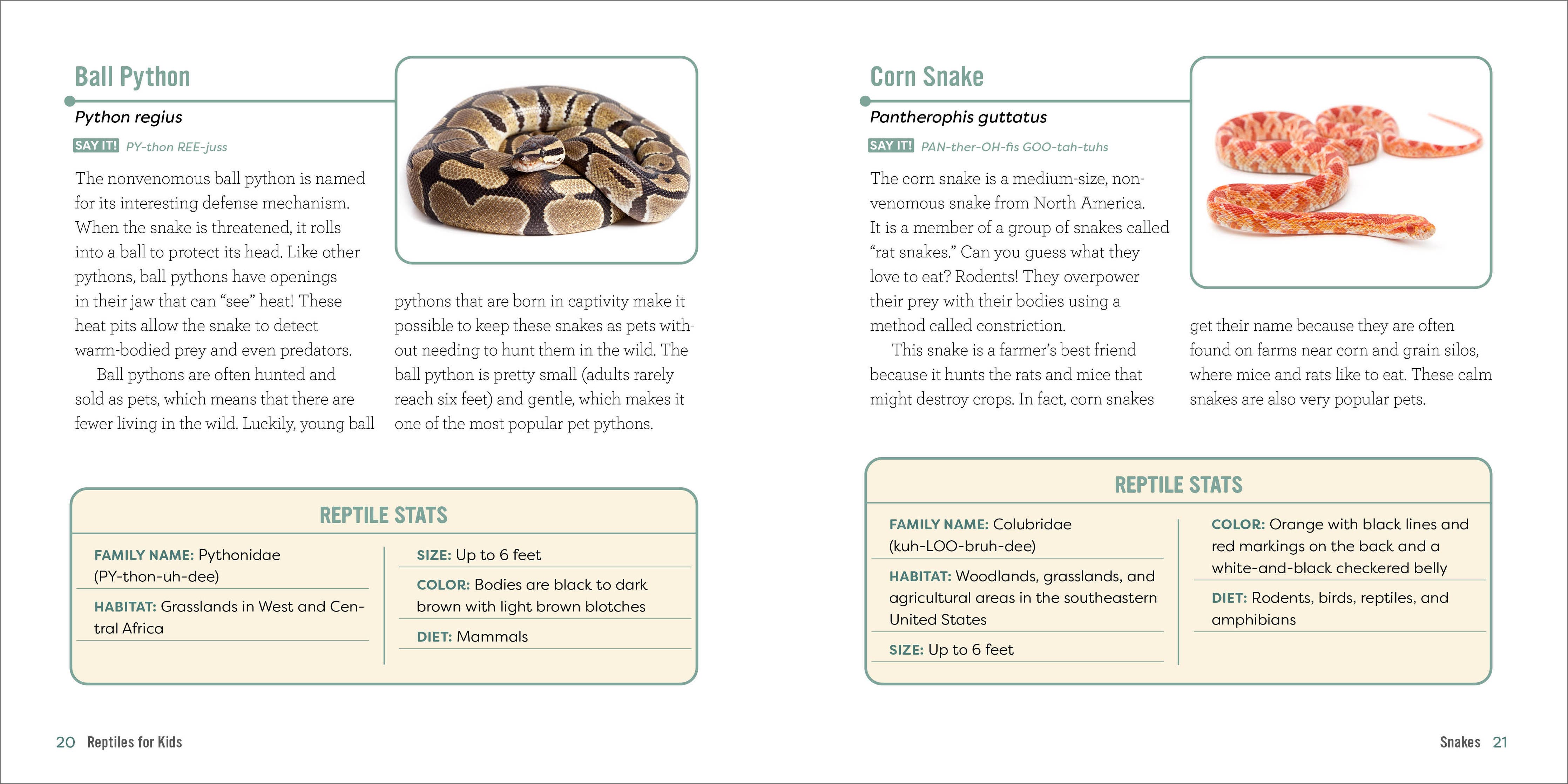 Sourcebooks - Junior Scientists Animals Box Set