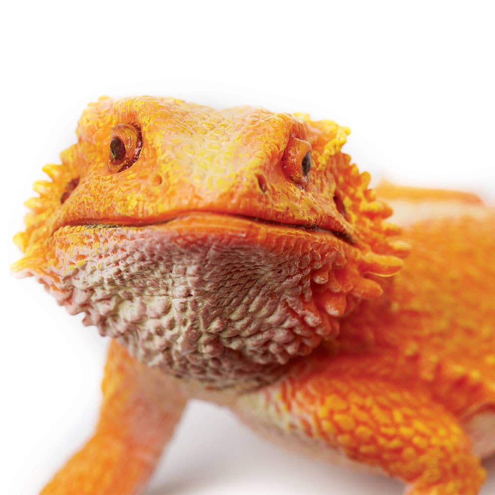 Bearded Dragon Decorative Figurine
