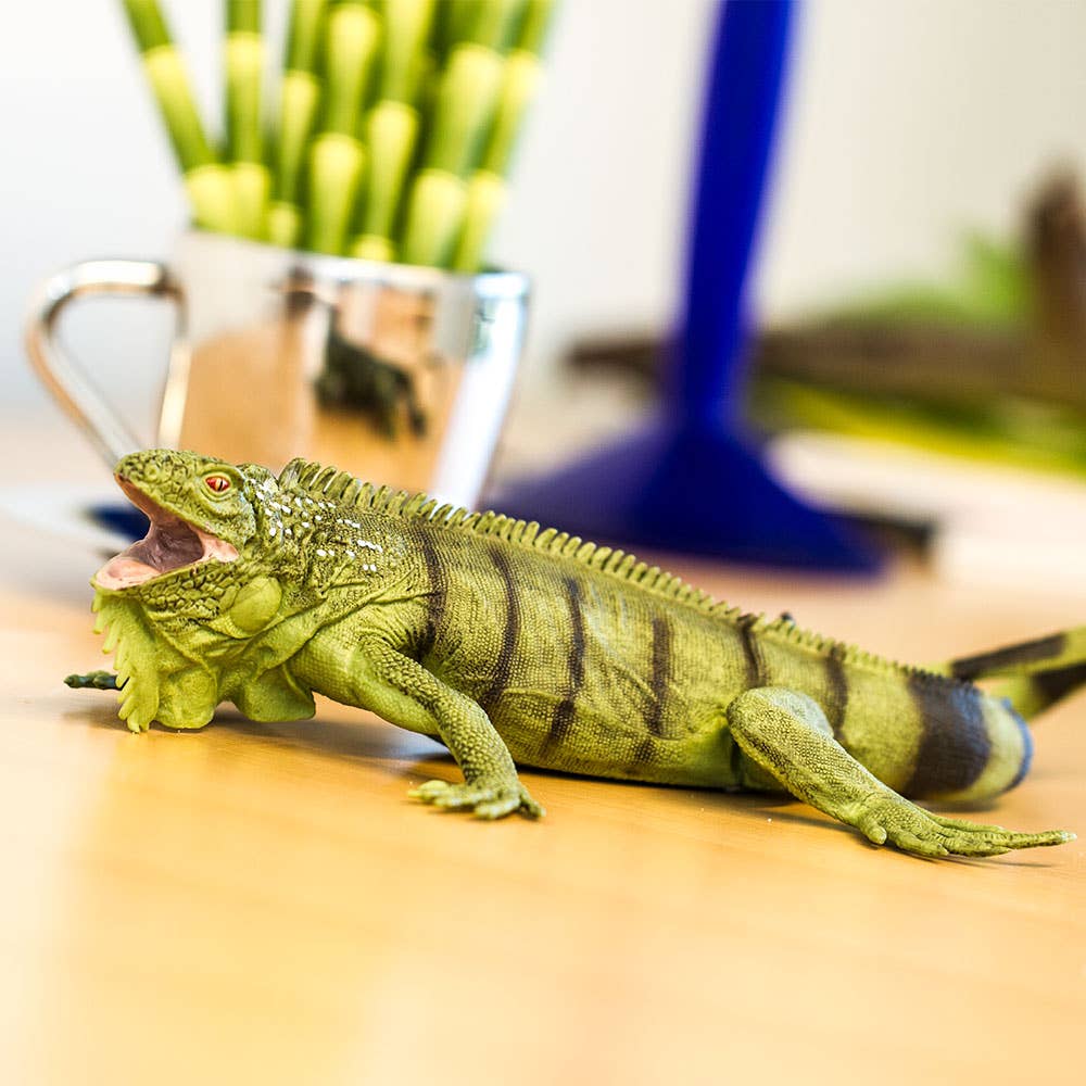 Safari Ltd. - Iguana - 267729