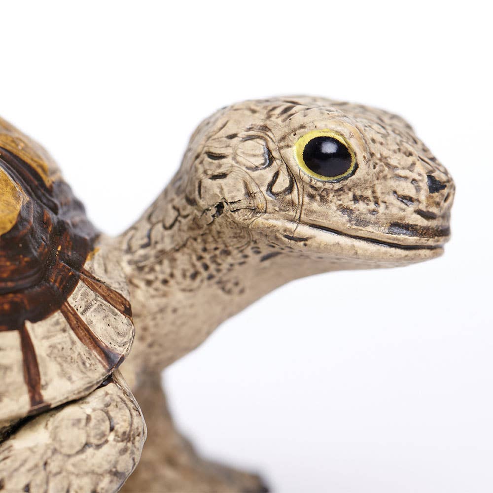 Safari Ltd. - Tortoise - 258629
