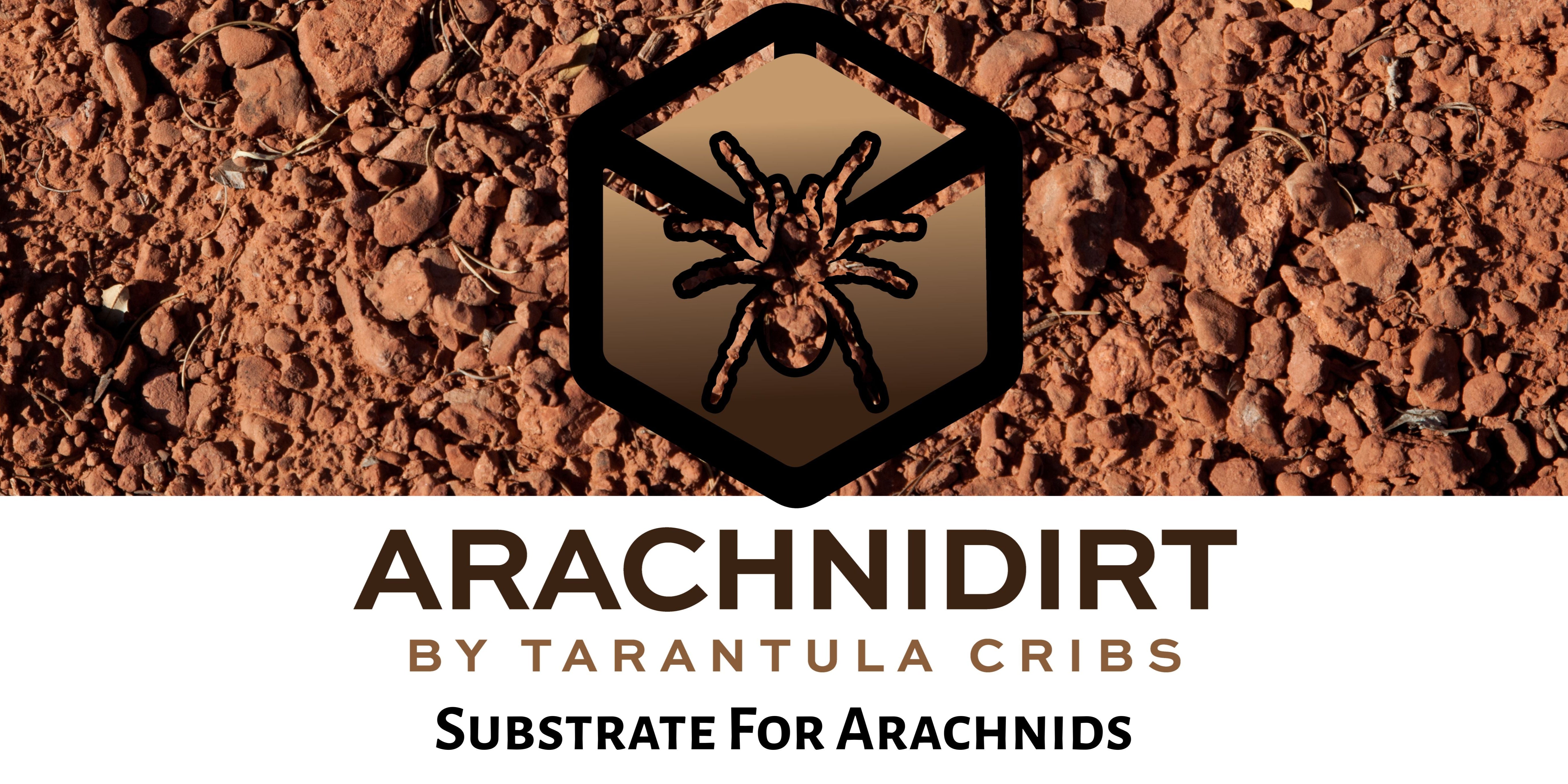 Arachnidirt Arachnid Substrate