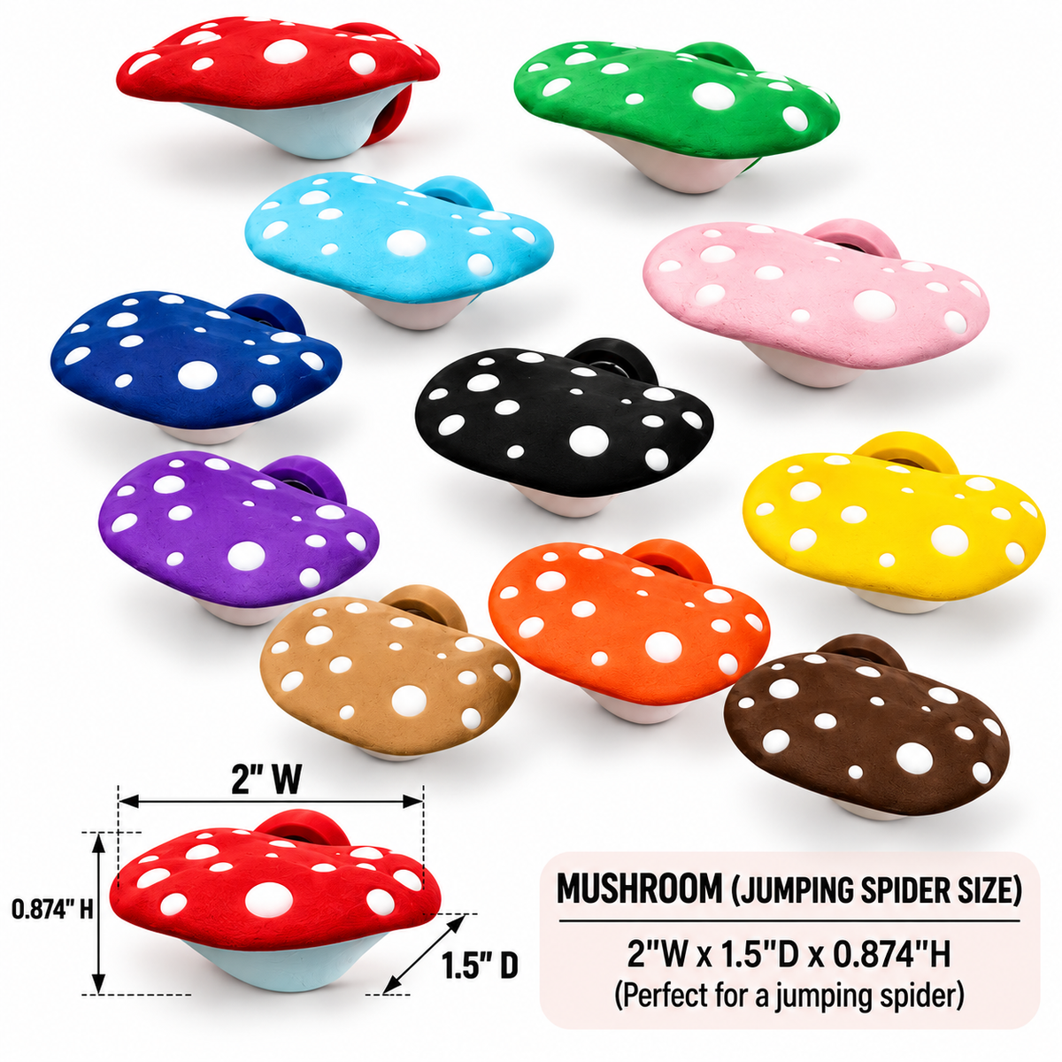 Mushroom Ledge For Jumping Spiders