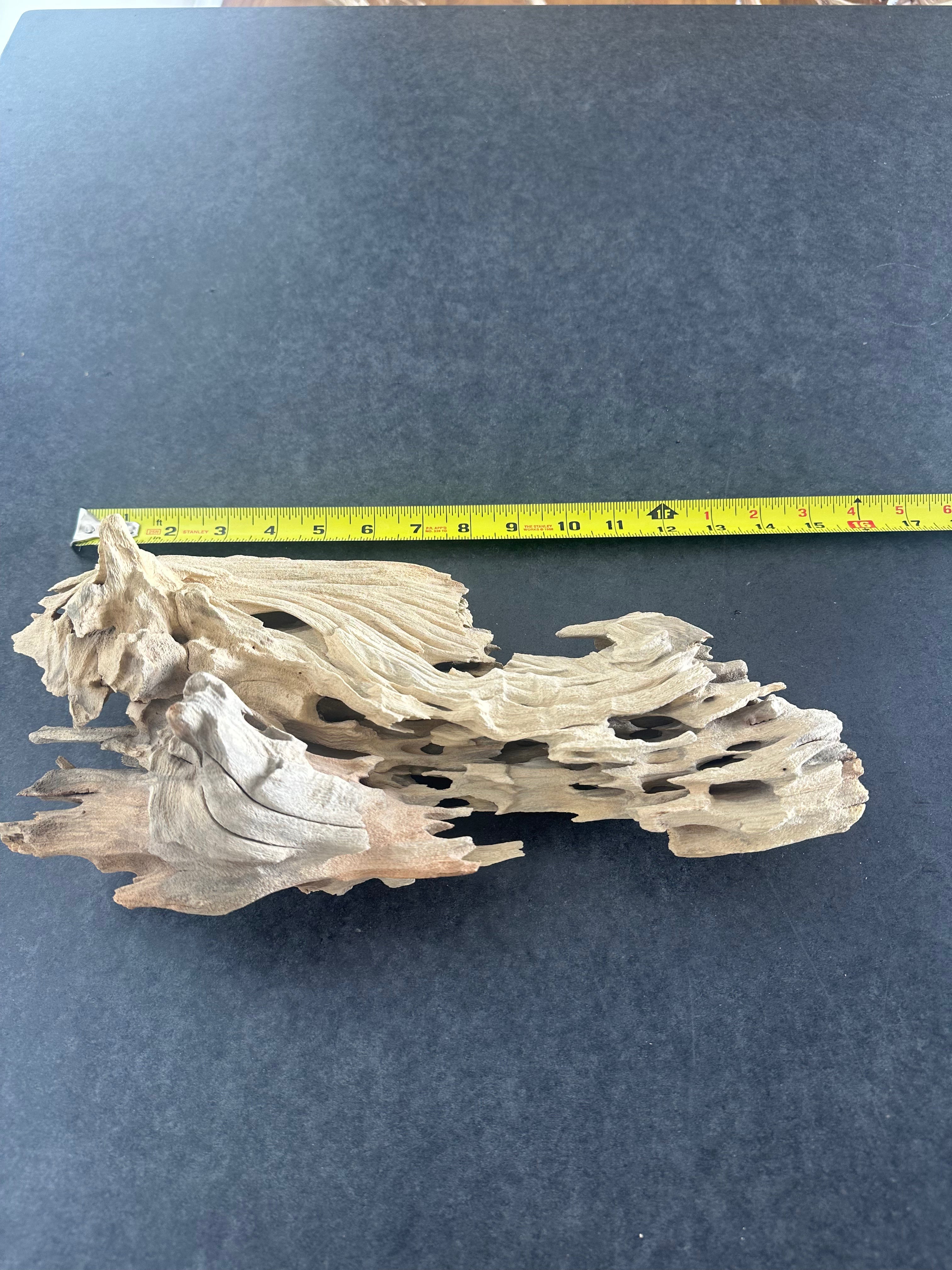 Small Driftwood