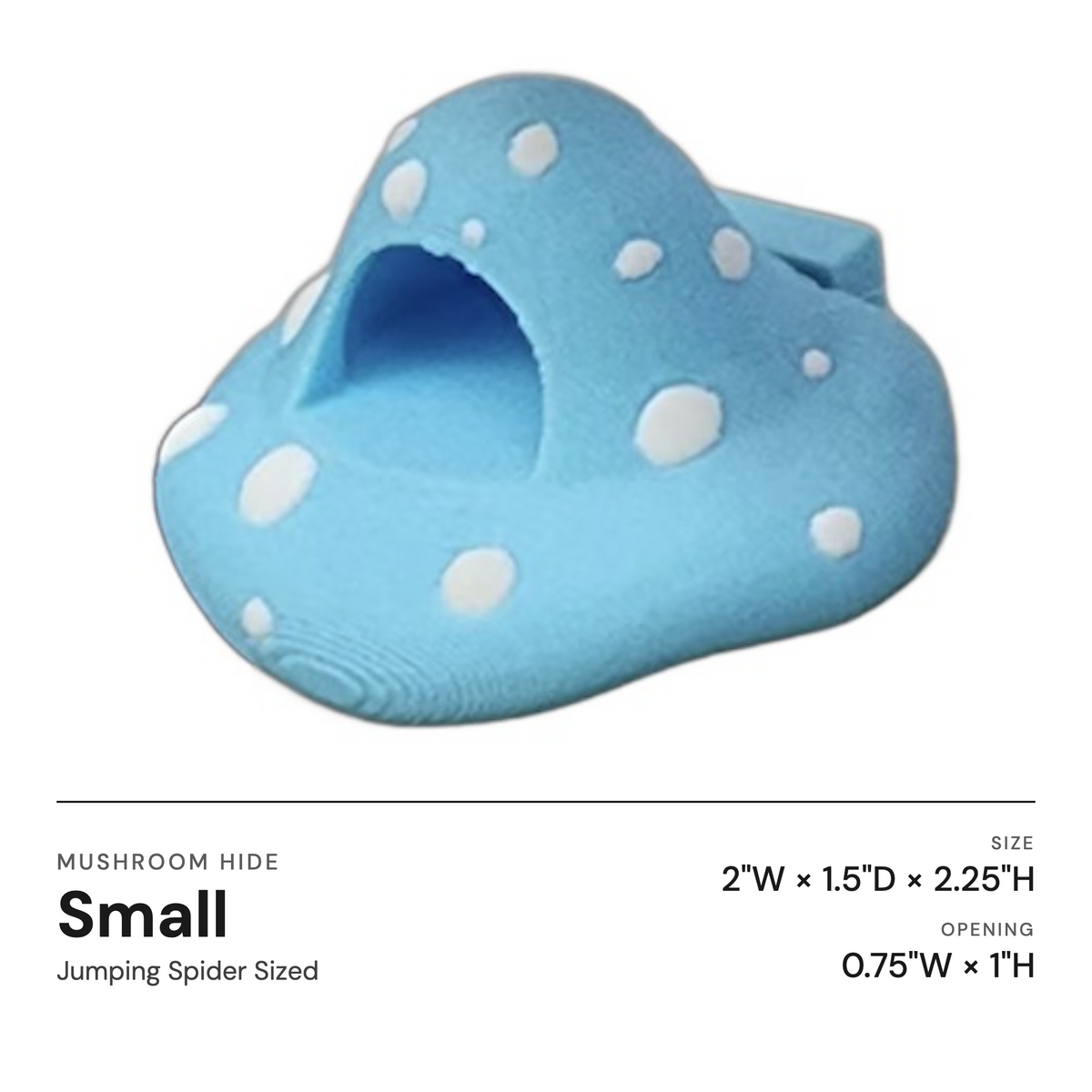 Mushroom Ledge For Jumping Spiders