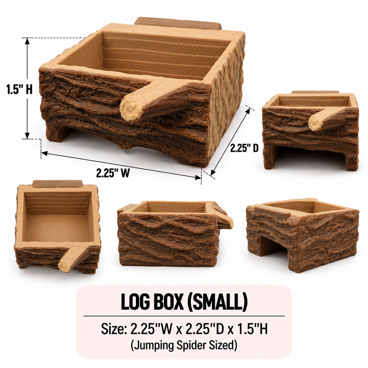 Log Feeder Dish For Jumping Spiders