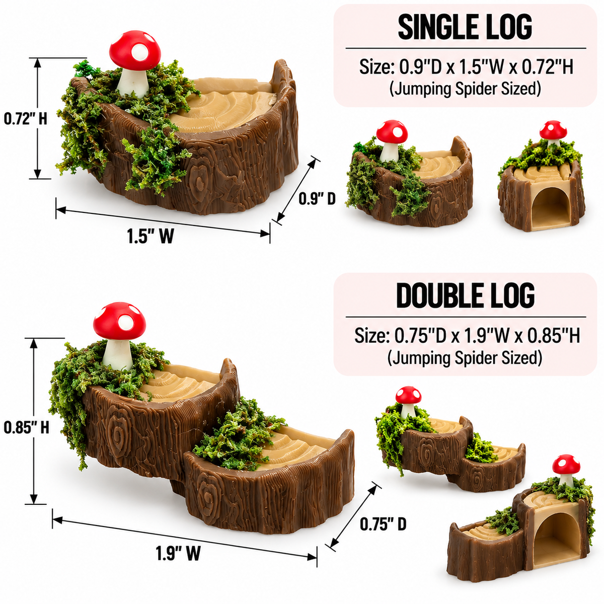 Decorated Log Ledge for Jumping Spiders
