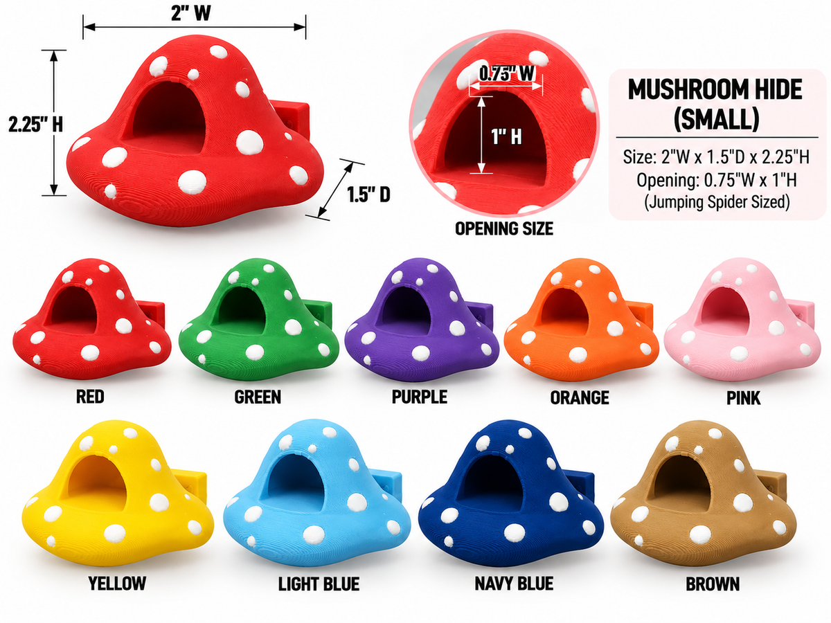 Mushroom Jumping Spider Hide