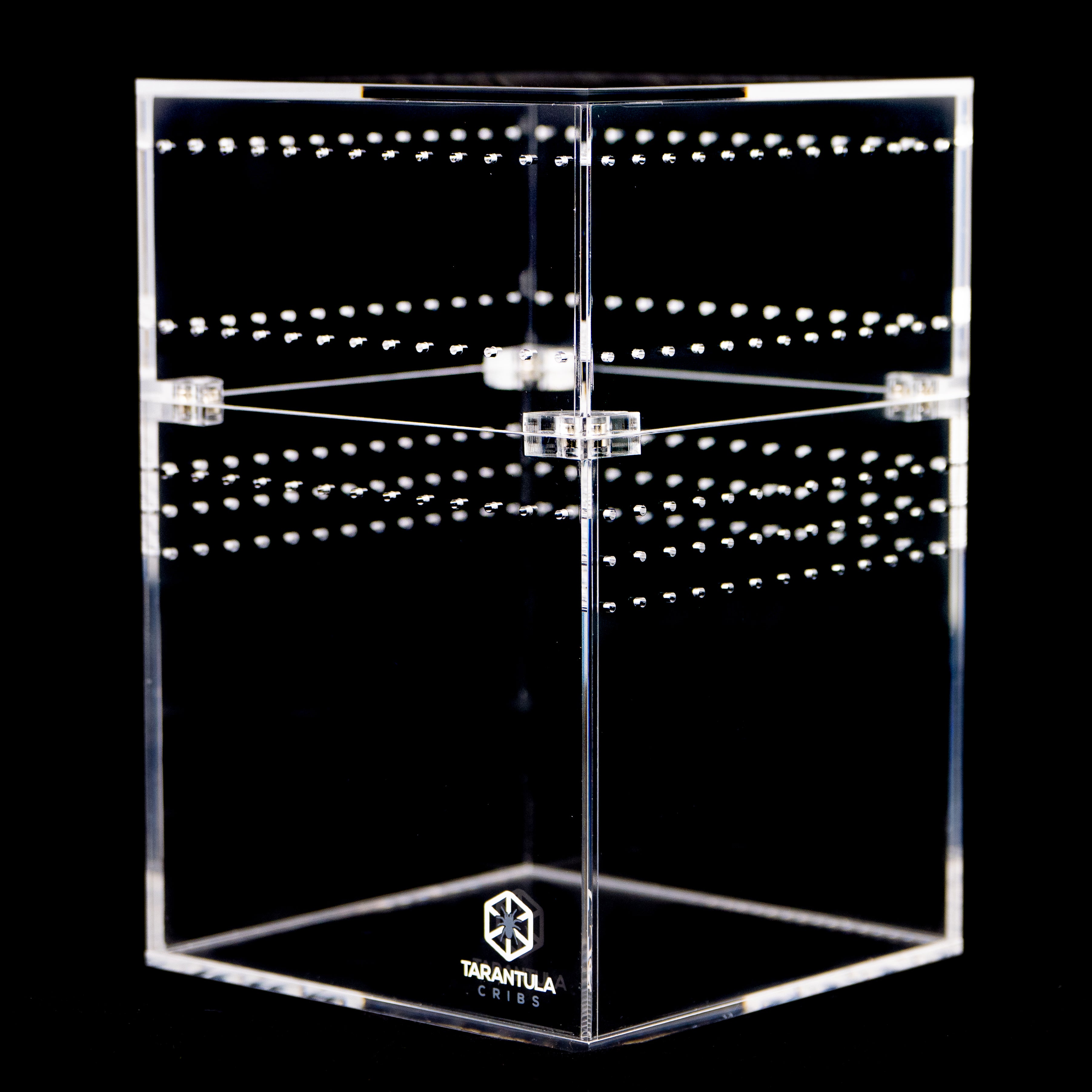 PRE ORDER- 4" Tarantula Cube (ships in 1 week)