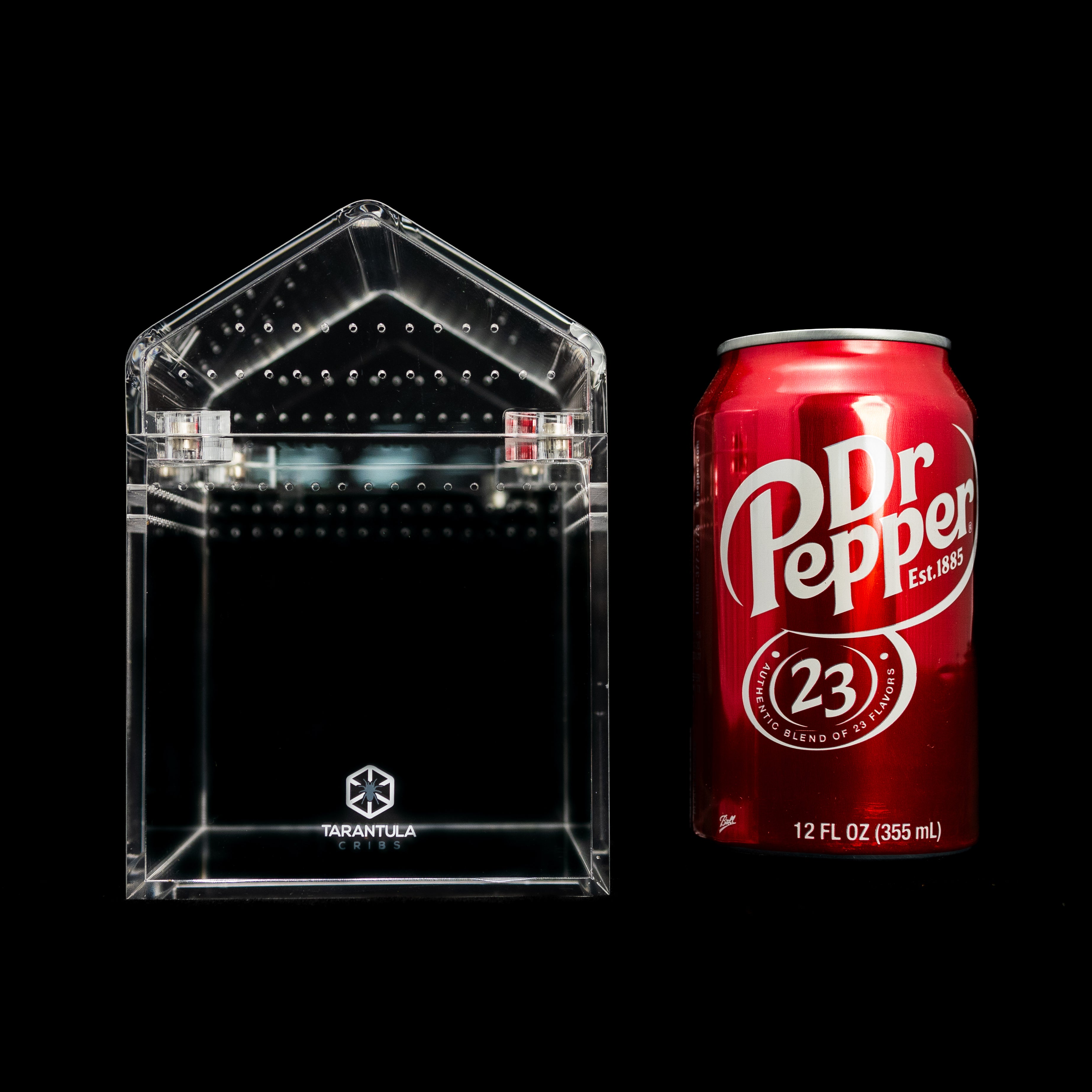PRE ORDER- 4" Tarantula Cube (ships in 1 week)