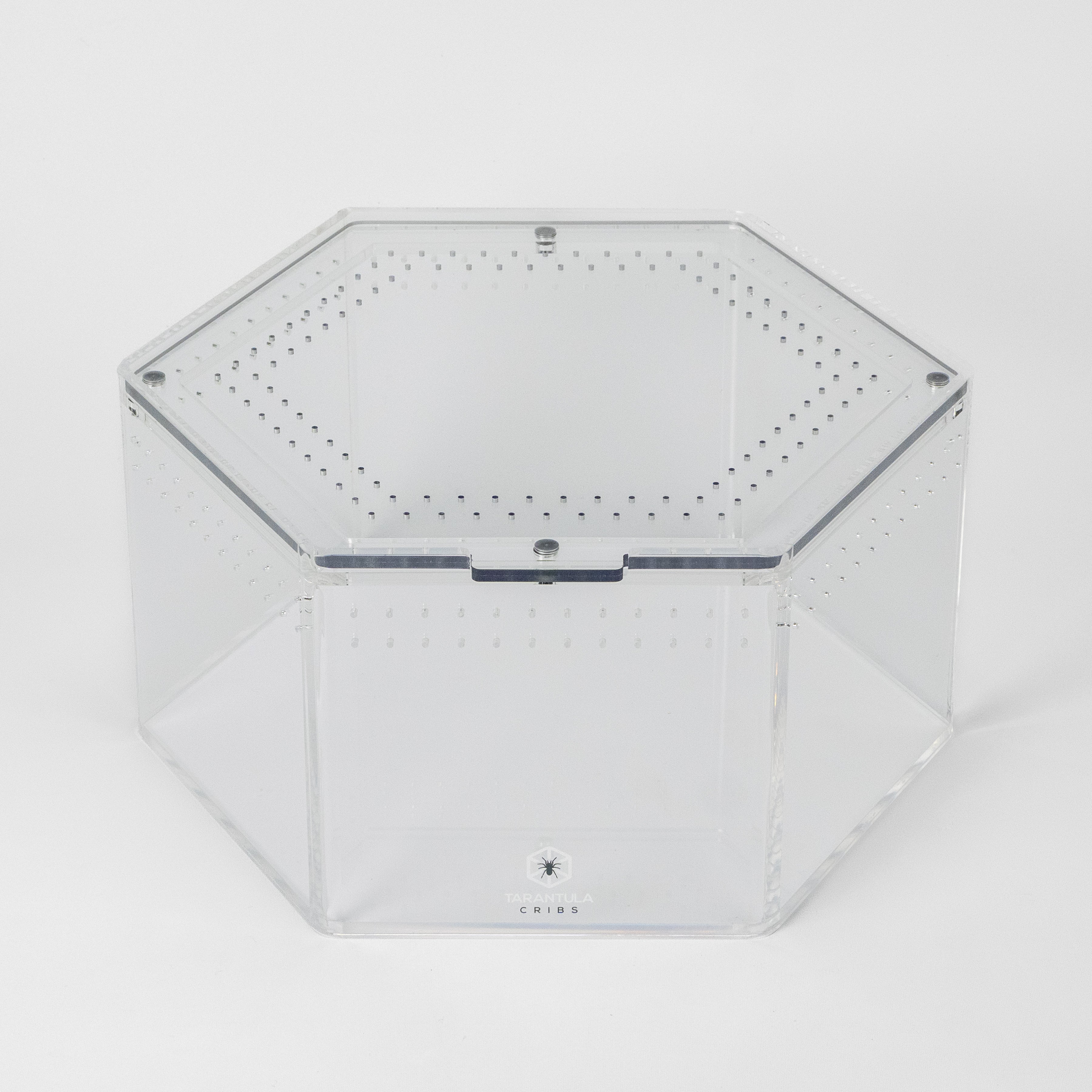 Terrestrial Hex™ Large – Hexagonal Tarantula Enclosure (12"x6")