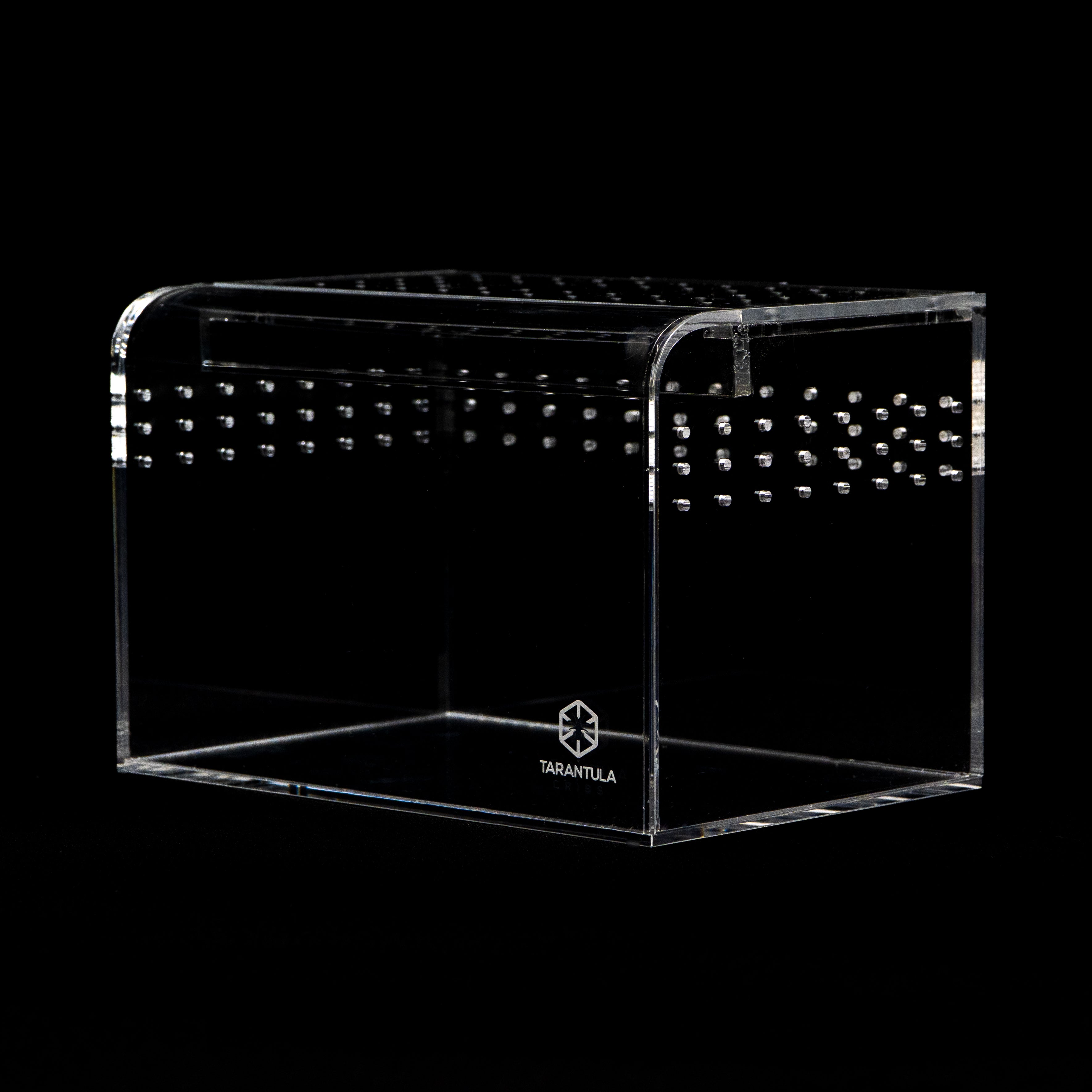 Terrestrial Curve – Small Enclosure