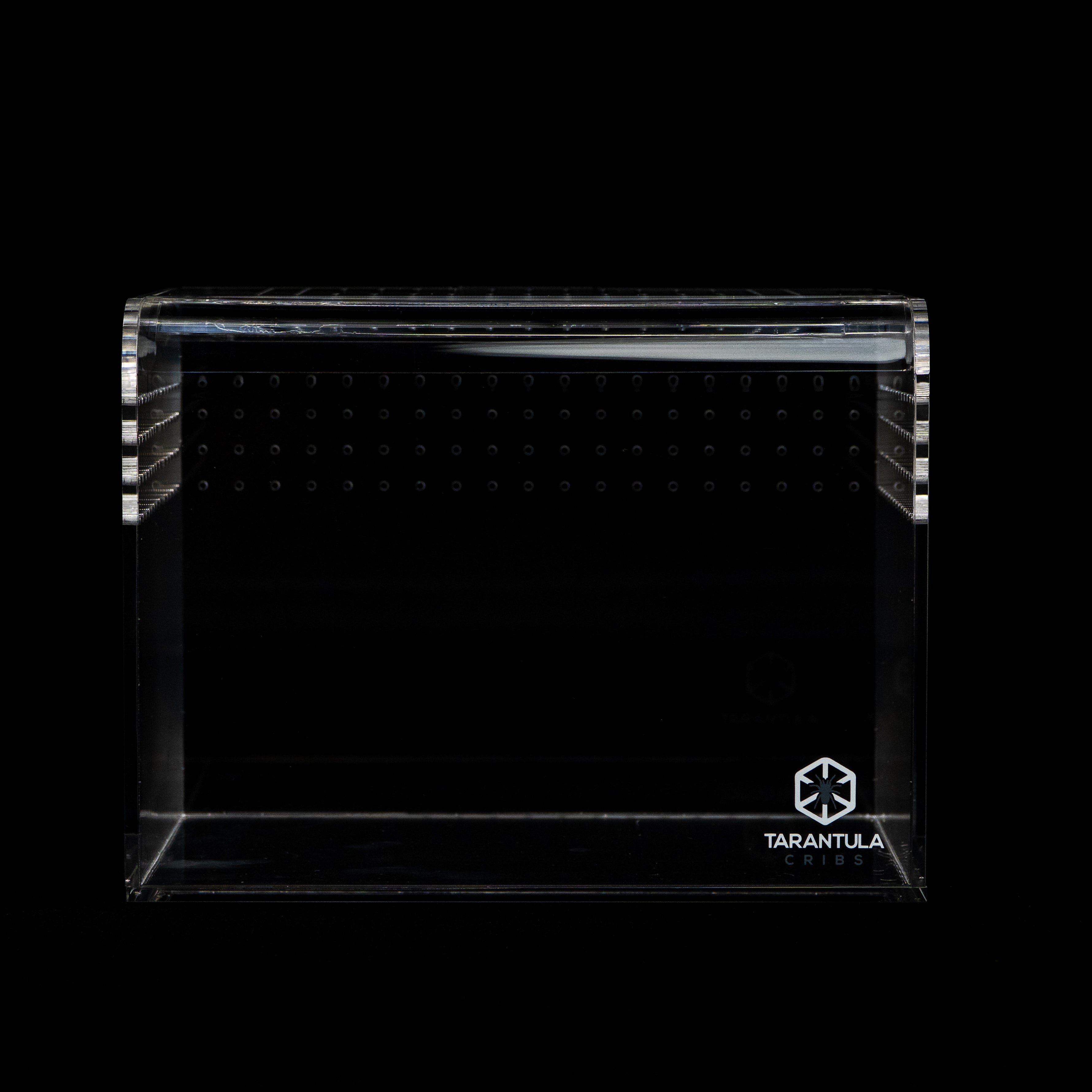 Terrestrial Curve – Small Enclosure