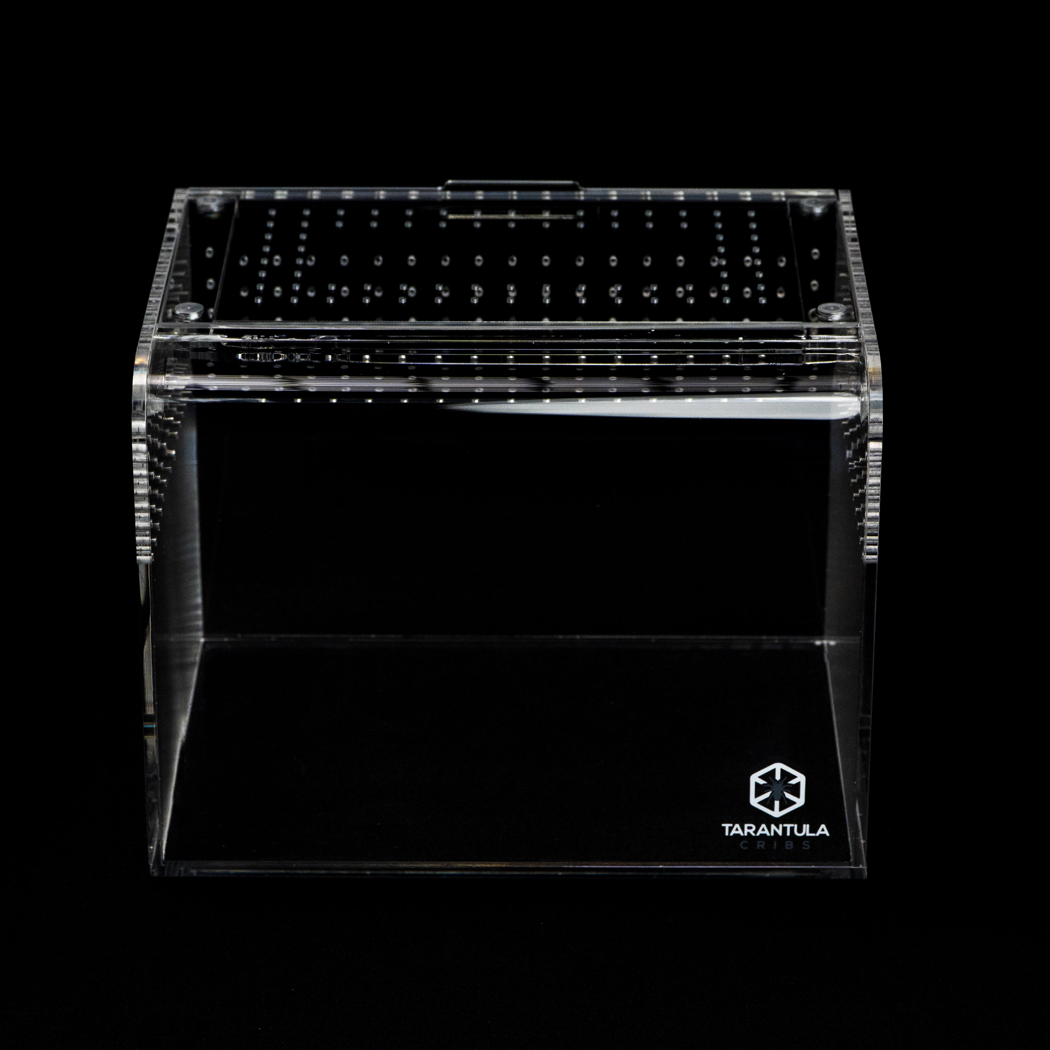 Terrestrial Curve – Small Enclosure