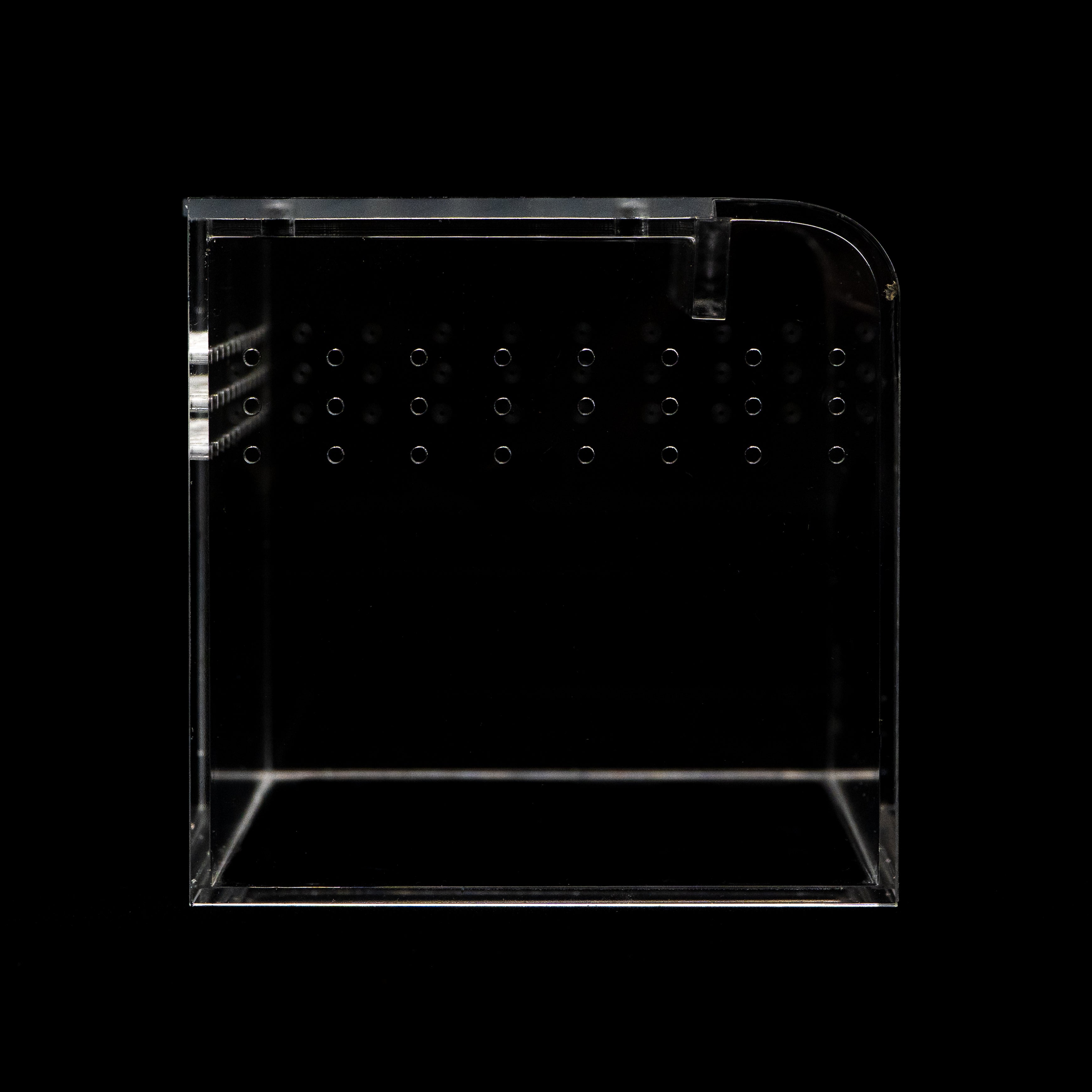 Terrestrial Curve – Small Enclosure