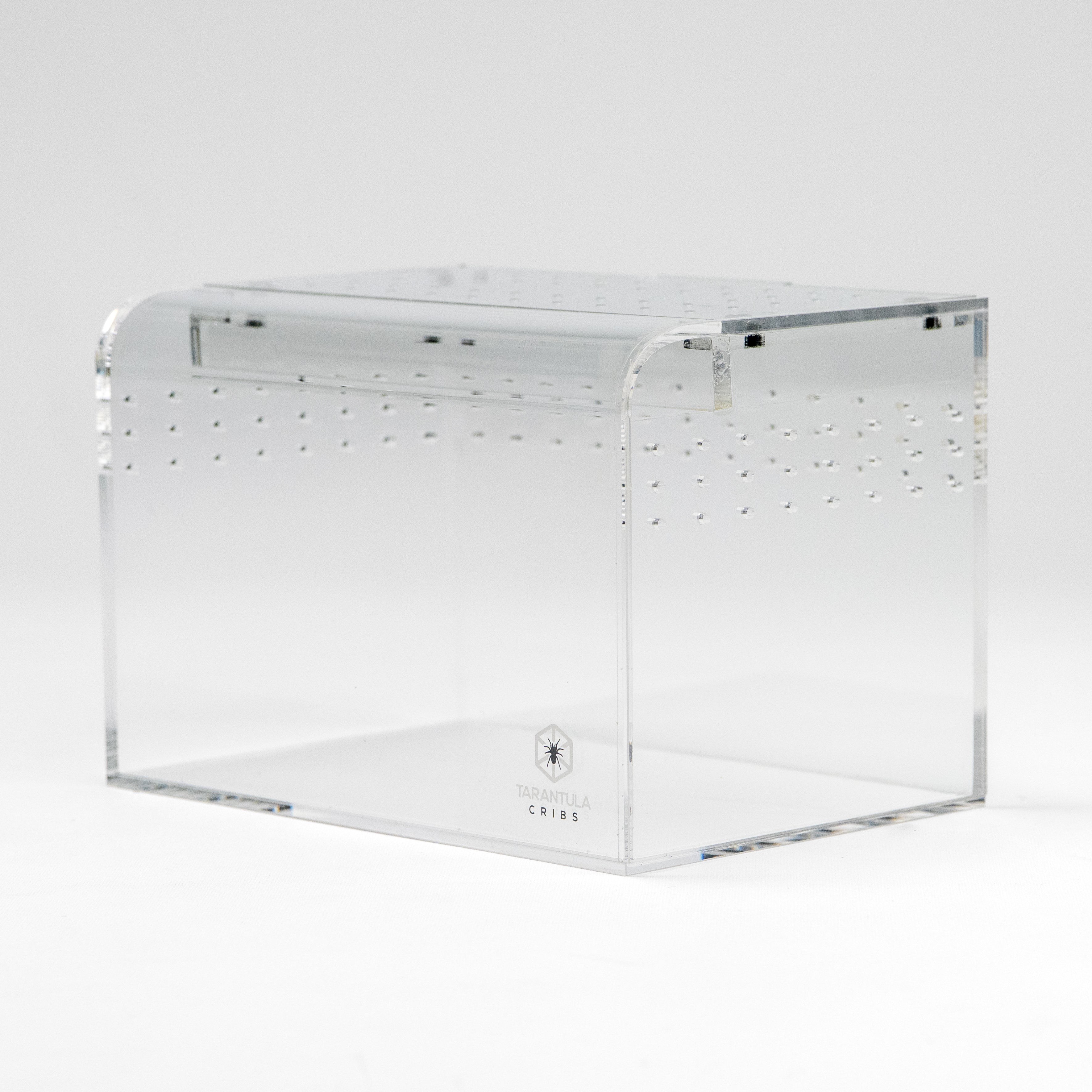 Terrestrial Curve – Small Enclosure