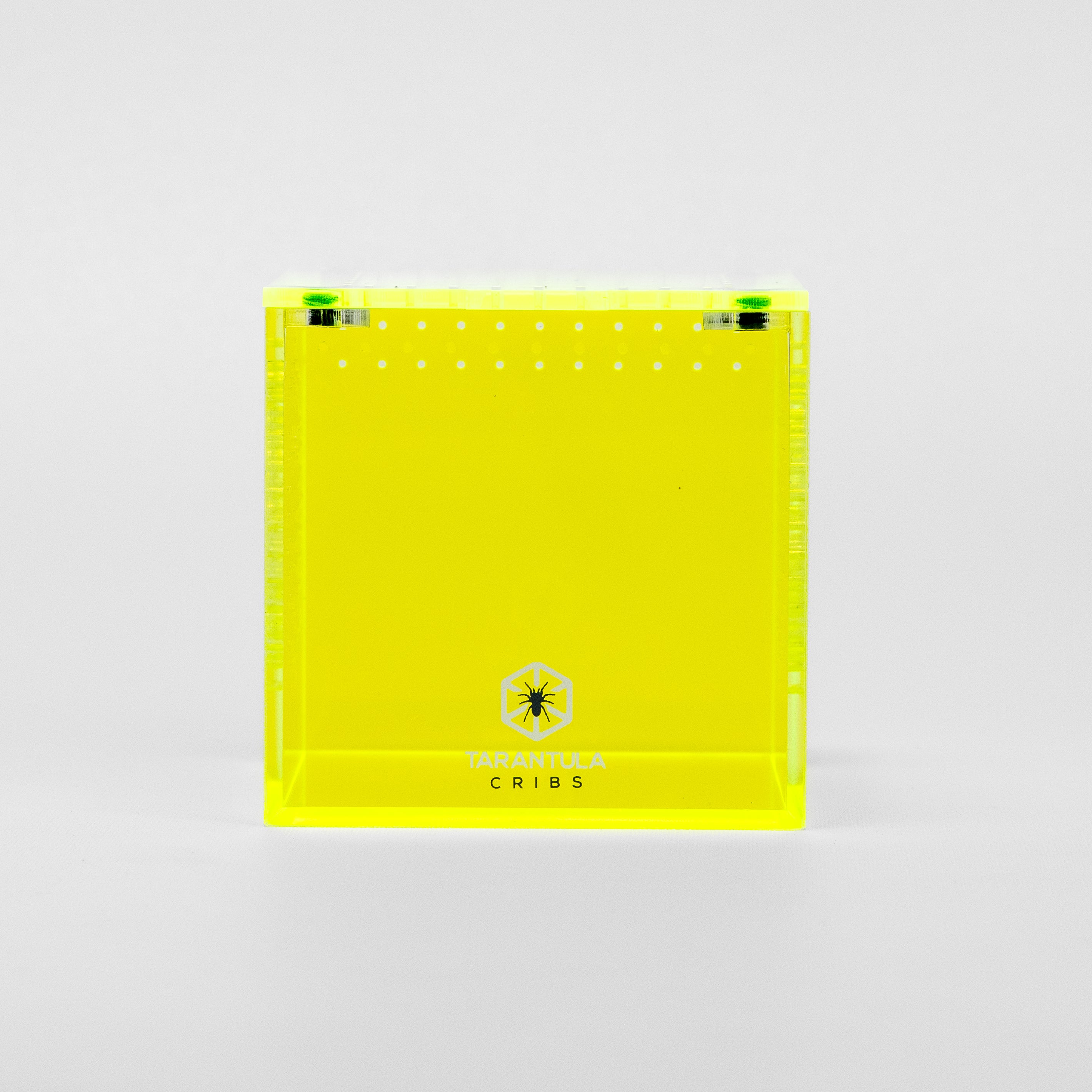 Richard Stewart Signature Collab Enclosure — 3" Cube | Spider Web Vent Edition | Neon Glow Series