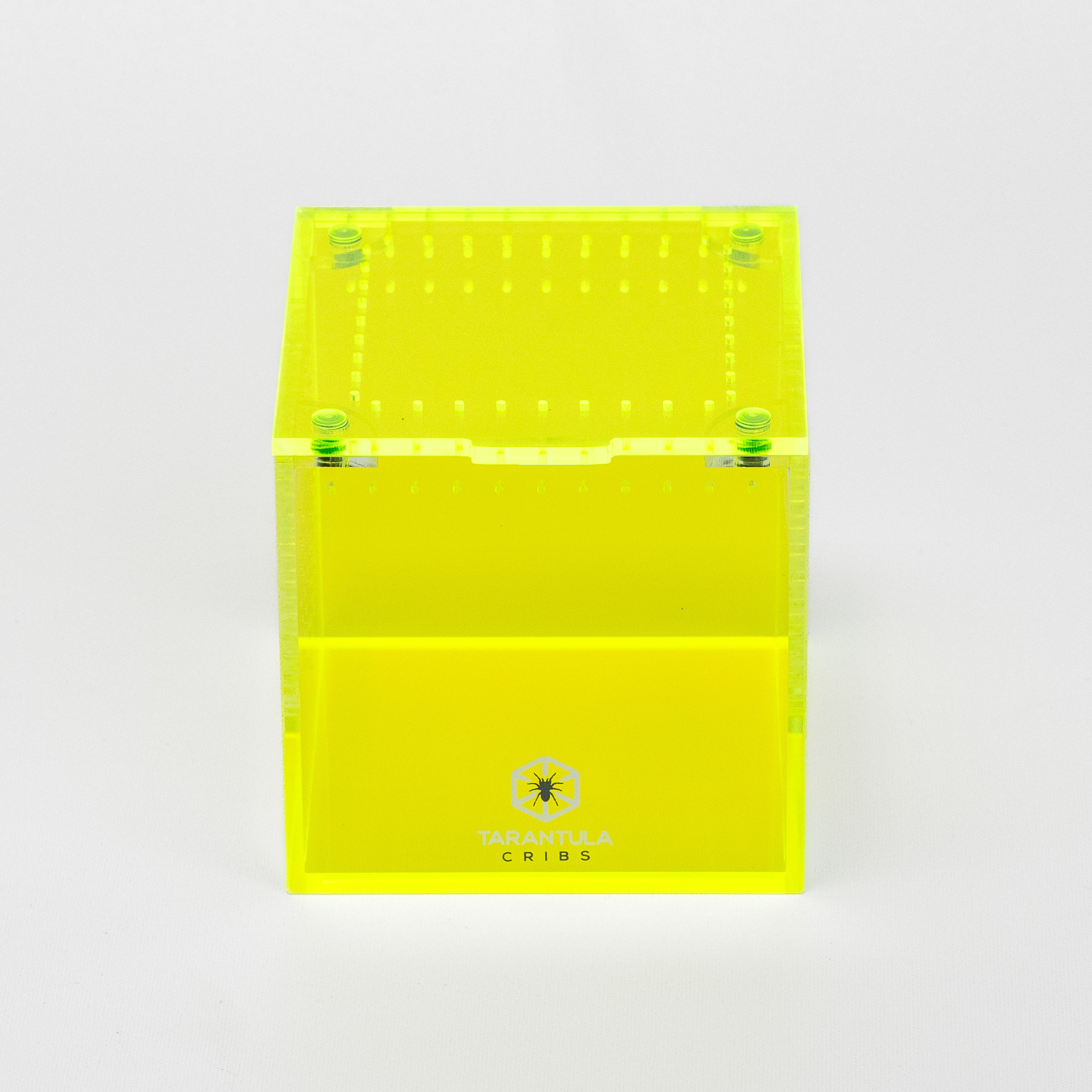 Richard Stewart Signature Collab Enclosure — 3" Cube | Spider Web Vent Edition | Neon Glow Series