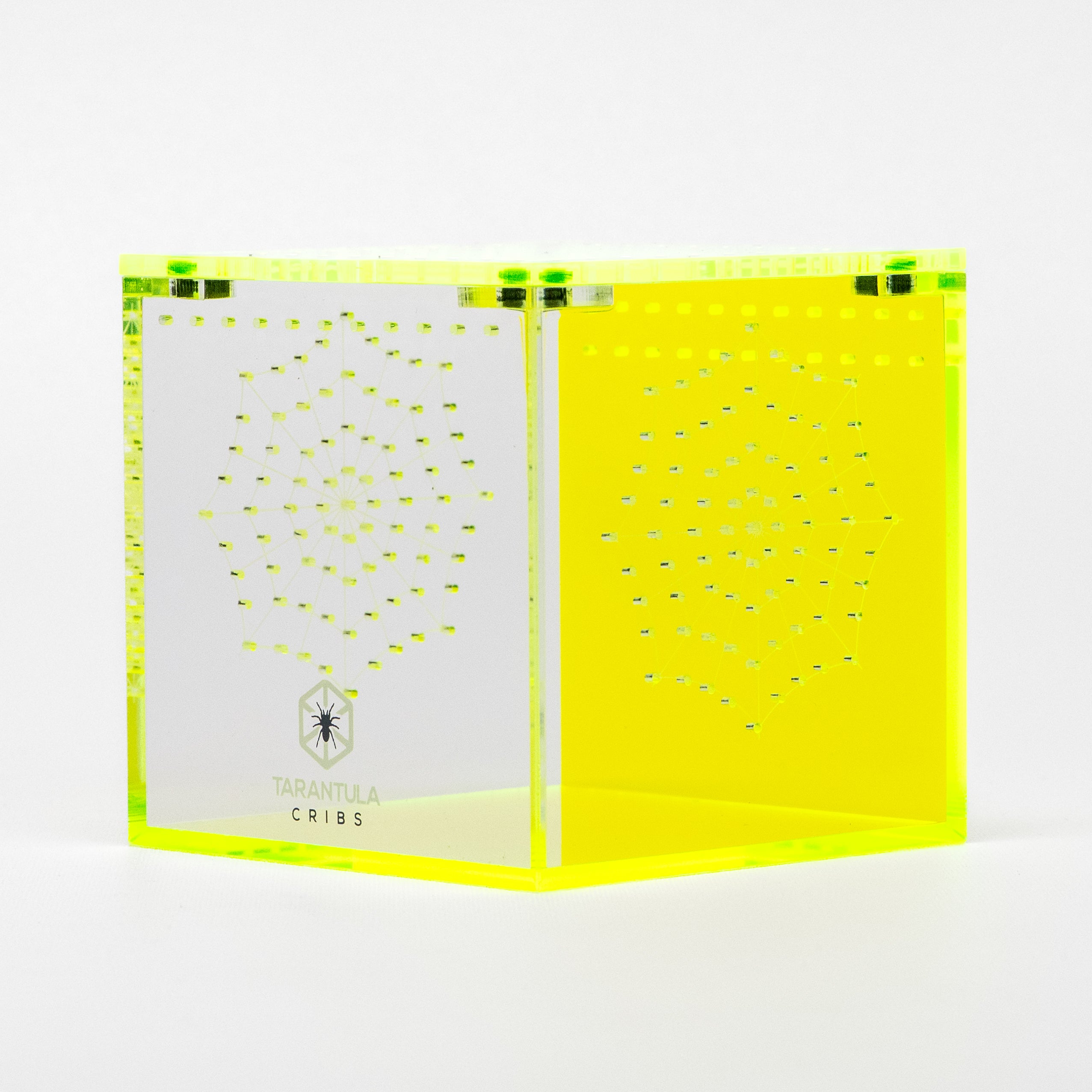 Richard Stewart Signature Collab Enclosure — 3" Cube | Spider Web Vent Edition | Neon Glow Series