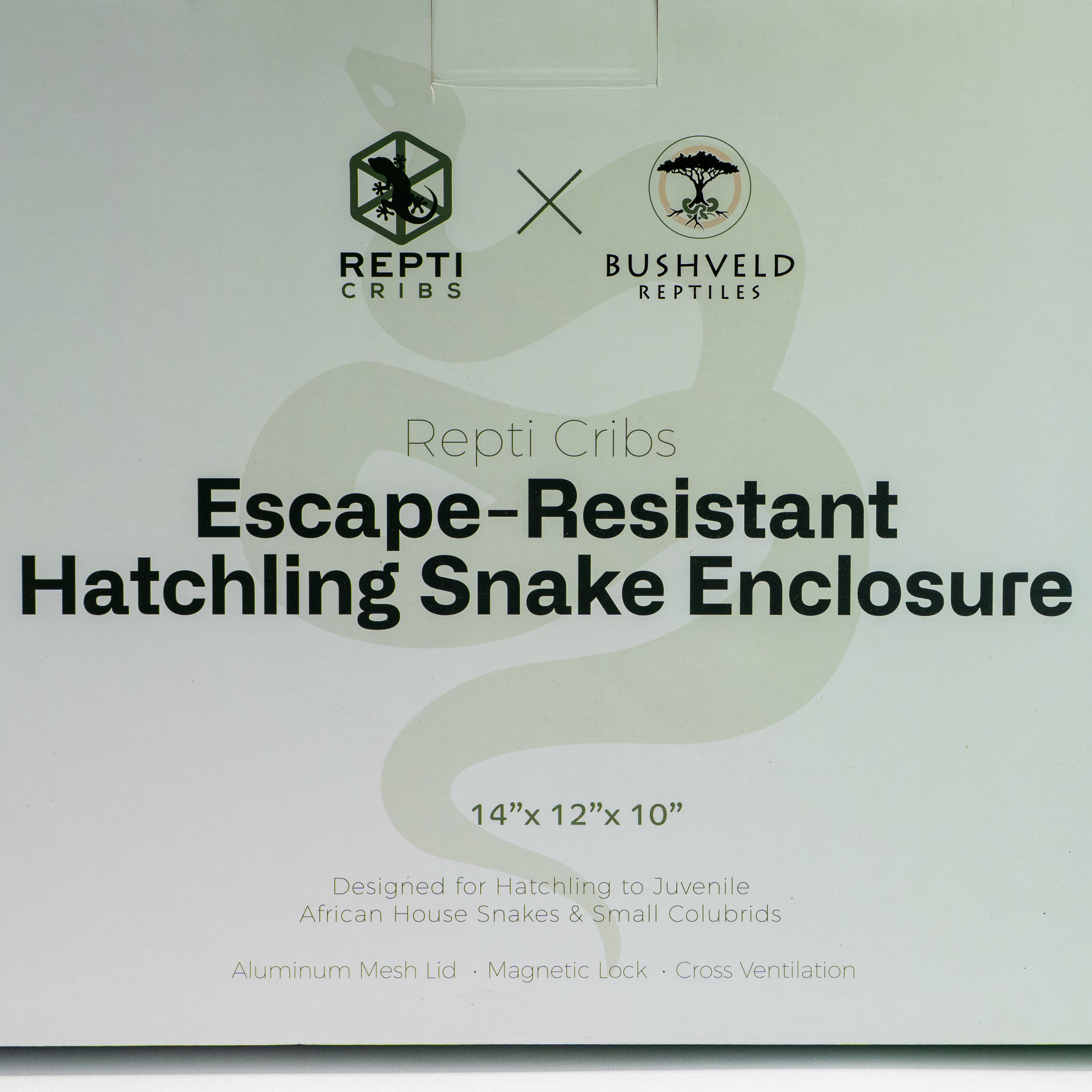 African House Snake Enclosure | 14x12x10 | Bushveld Reptiles Collab