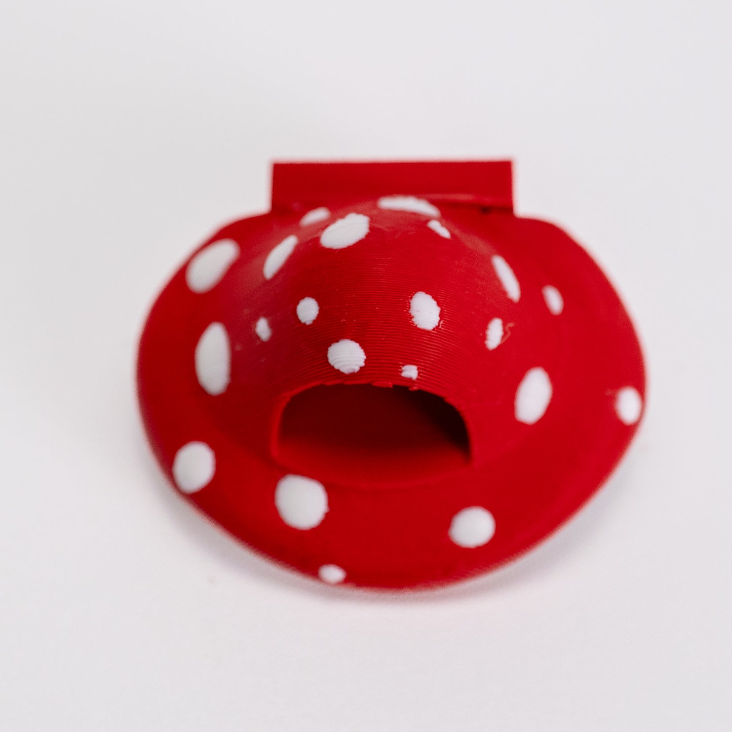 Mushroom Jumping Spider Hide