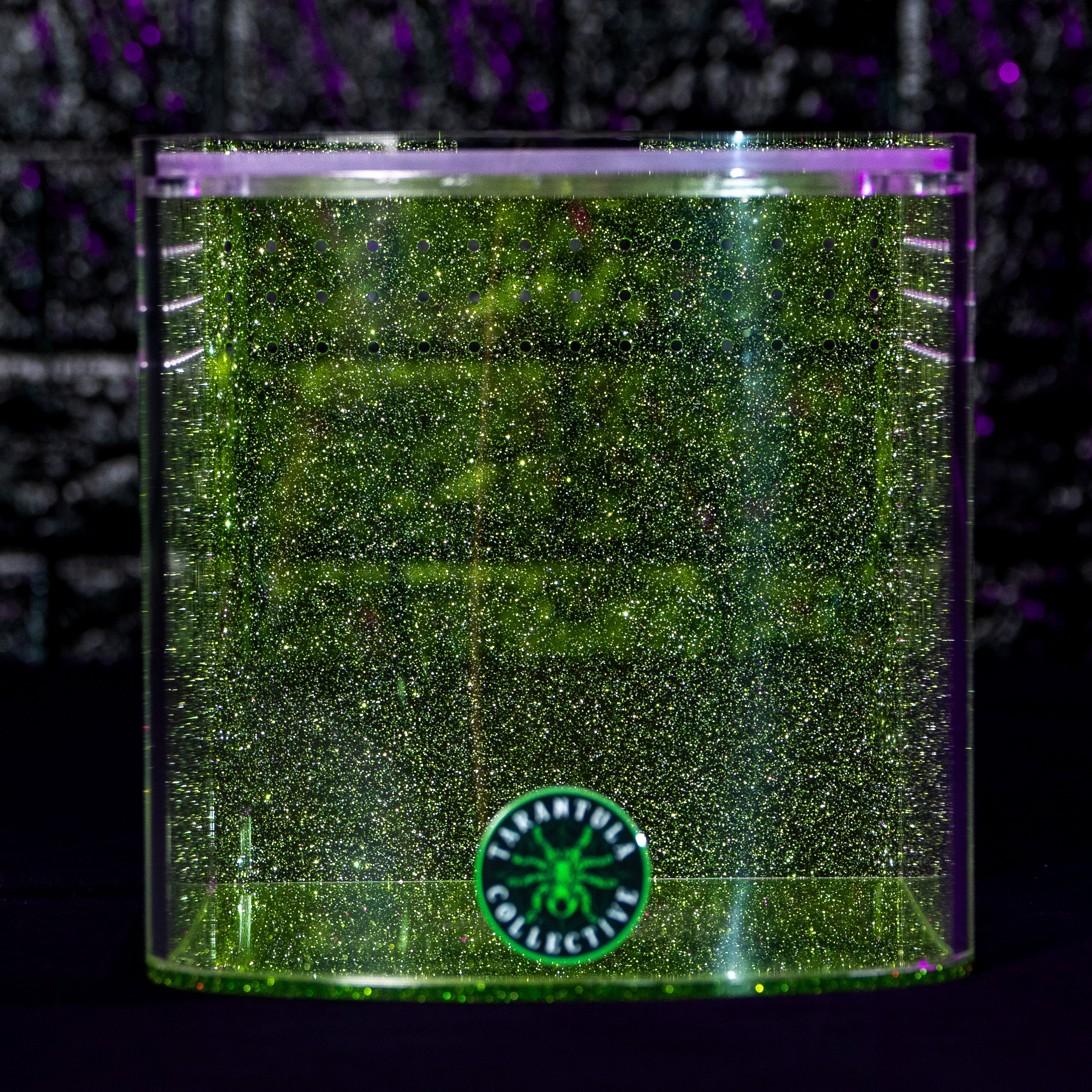 Bow Front by The Tarantula Collective