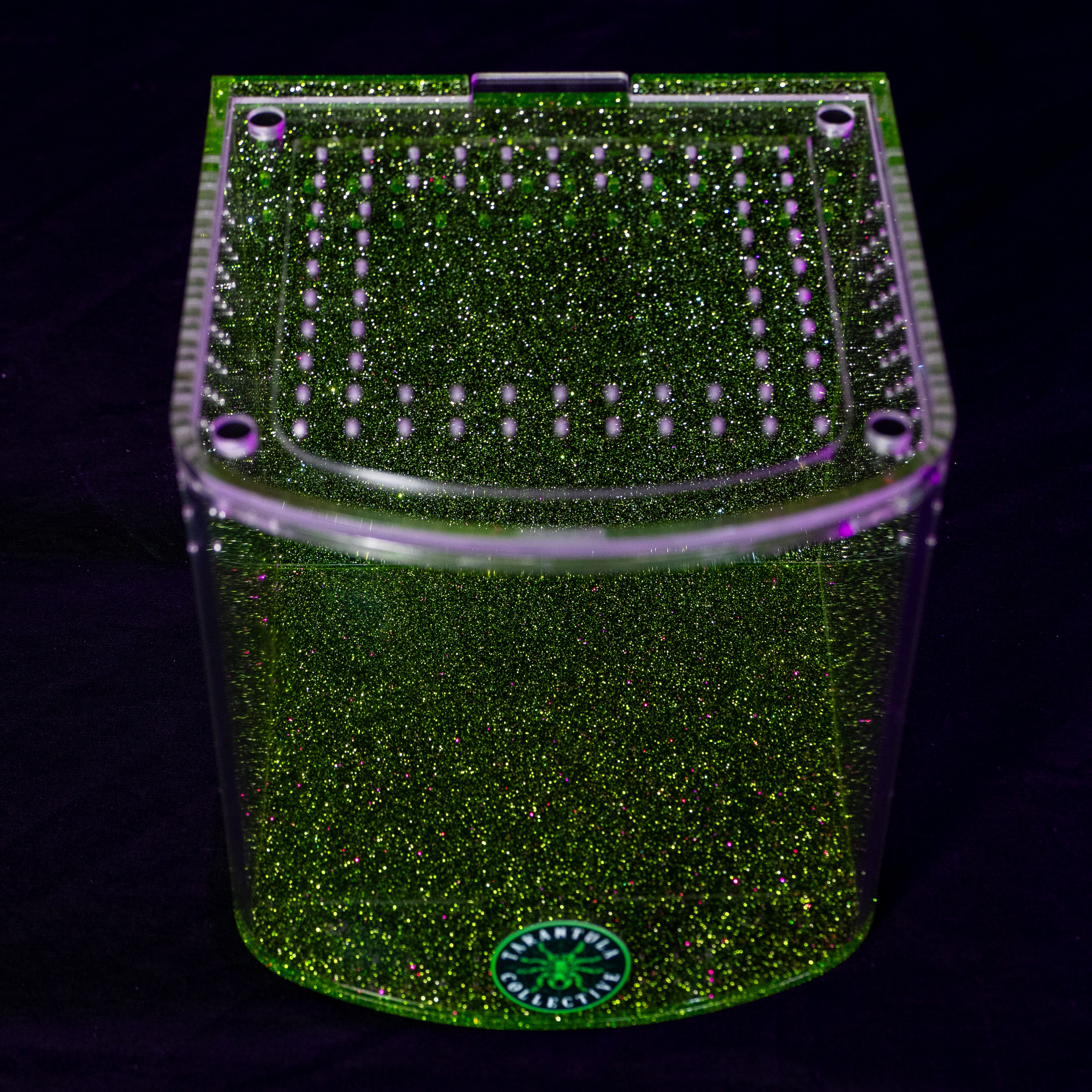 Bow Front by The Tarantula Collective