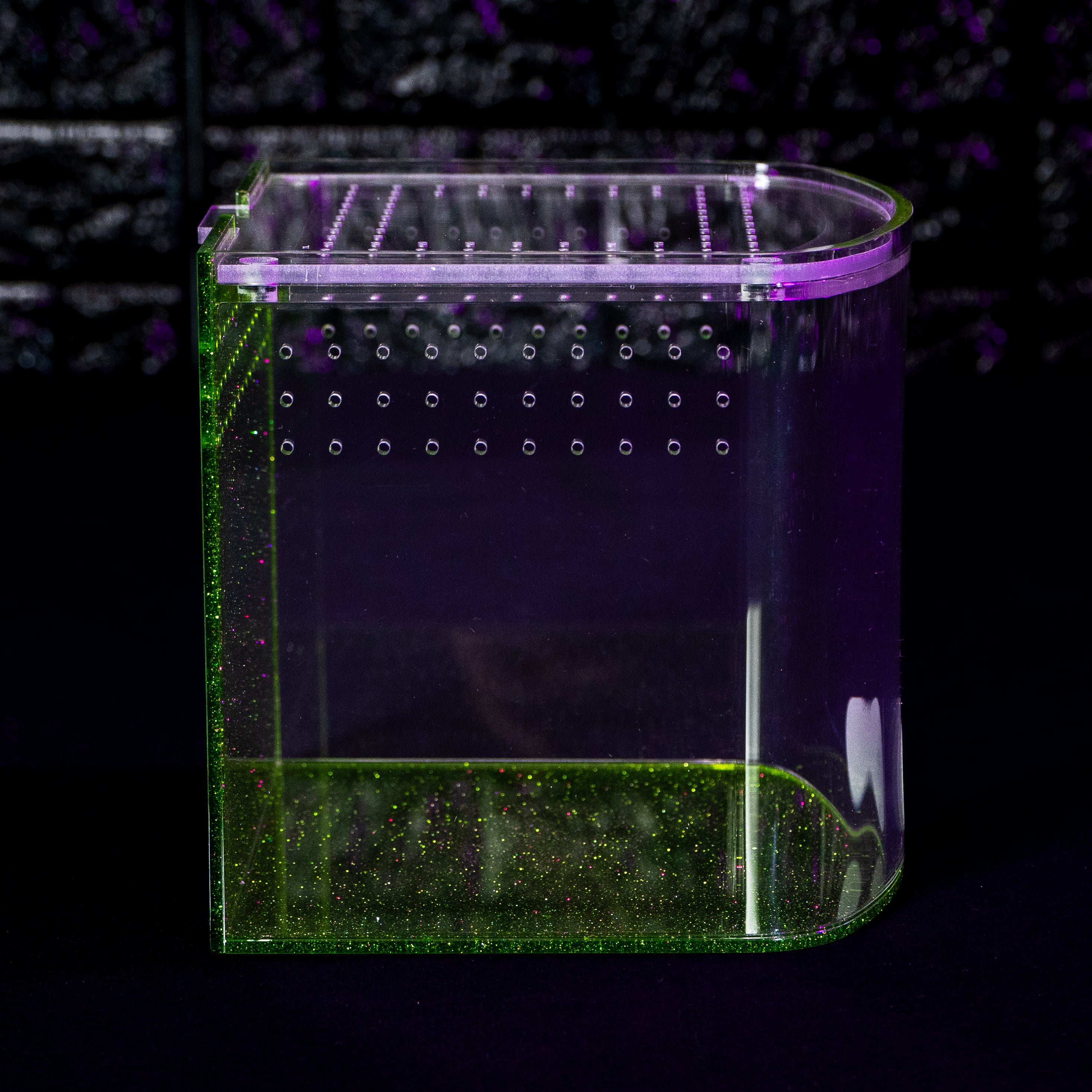 Bow Front by The Tarantula Collective (6" Glitter Green) (wholesale)