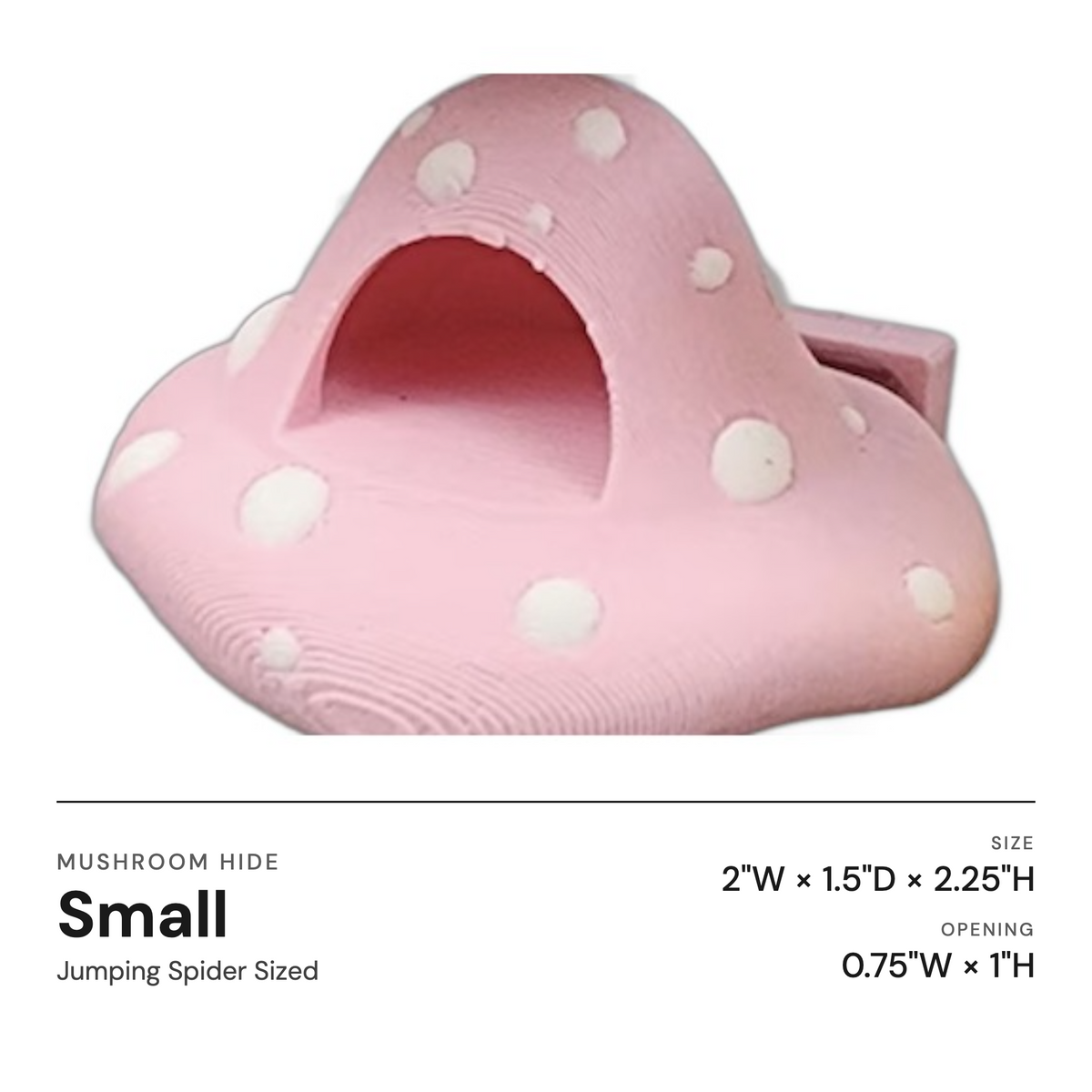 Mushroom Ledge For Jumping Spiders