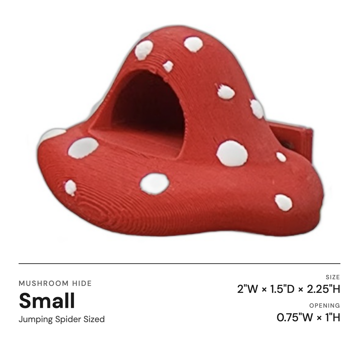 Mushroom Ledge For Jumping Spiders