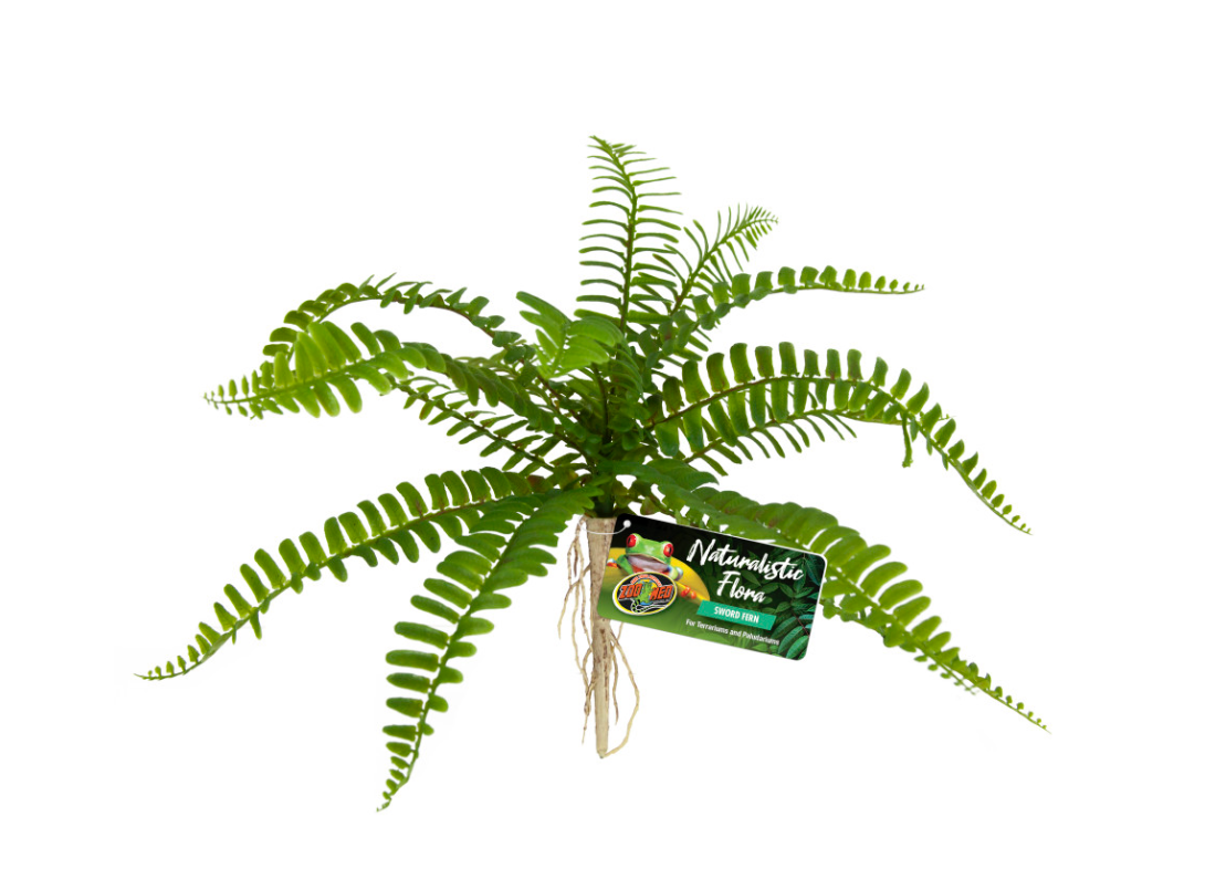 Zoo Med Naturalistic Flora Sword Fern Terrarium Plant