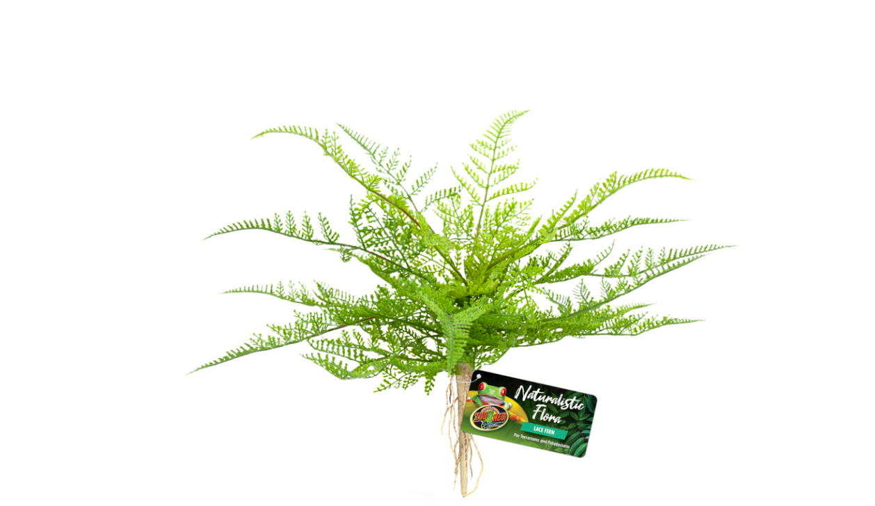Zoo Med Naturalistic Flora Lace Fern Terrarium Plant Green, Tan, 1ea